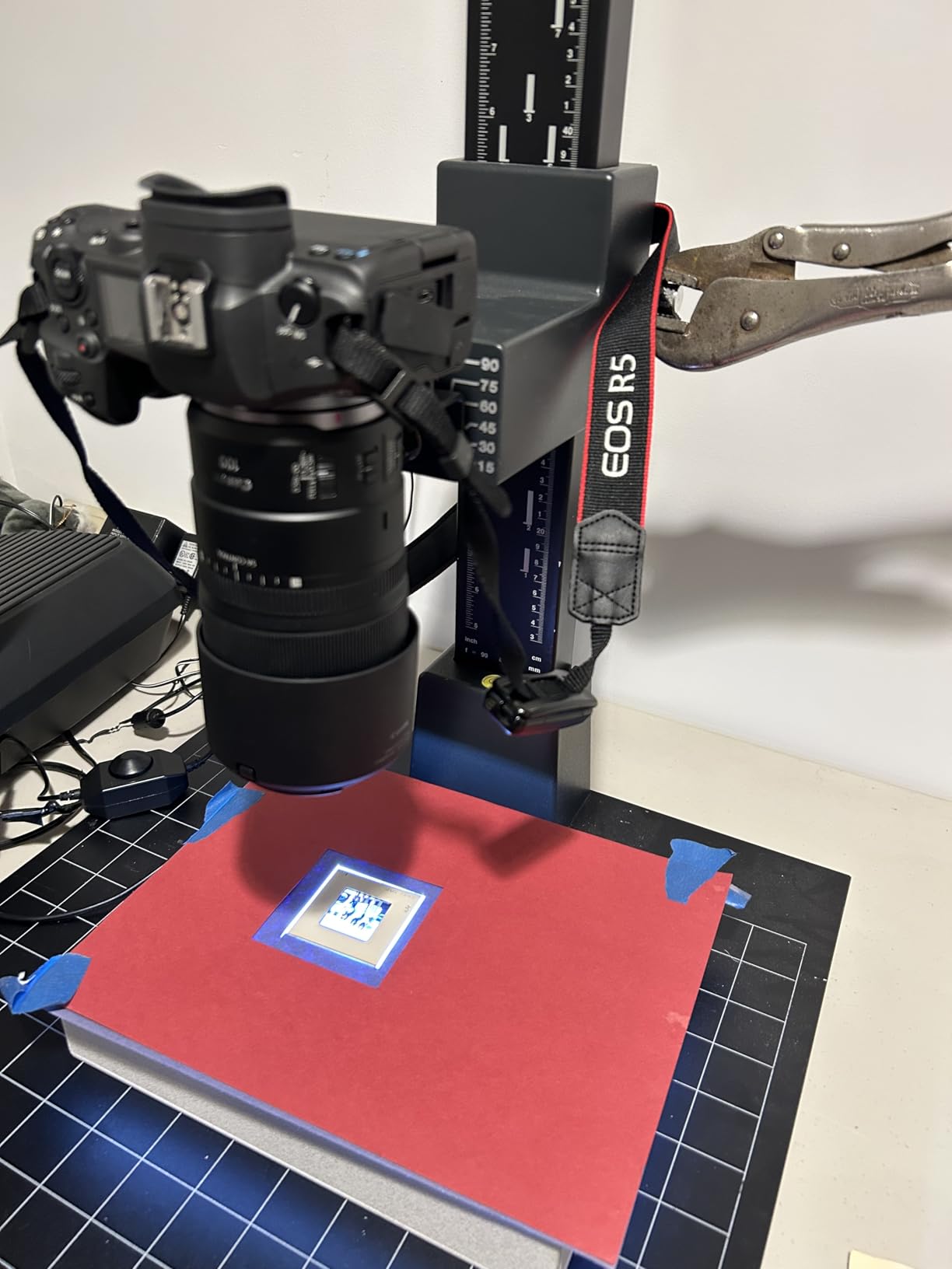 Canon RF100mm F2.8 L Macro is USM Lens - Customer Photo 1