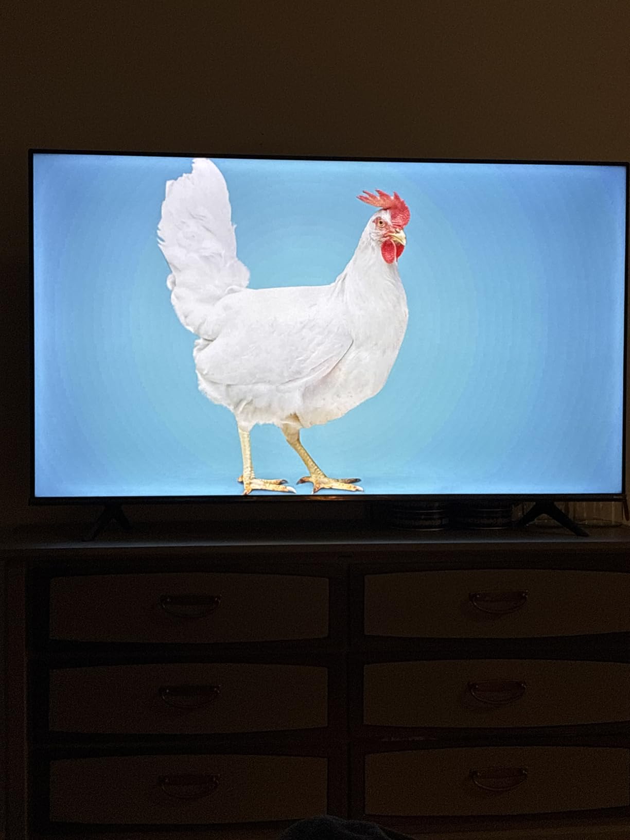 Hisense 65-Inch Class R6 Series 4K UHD Smart Roku TV with Alexa Compatibility, Dolby Vision HDR, DTS Studio Sound, Game Mode (65R6G), Black customer photo 1