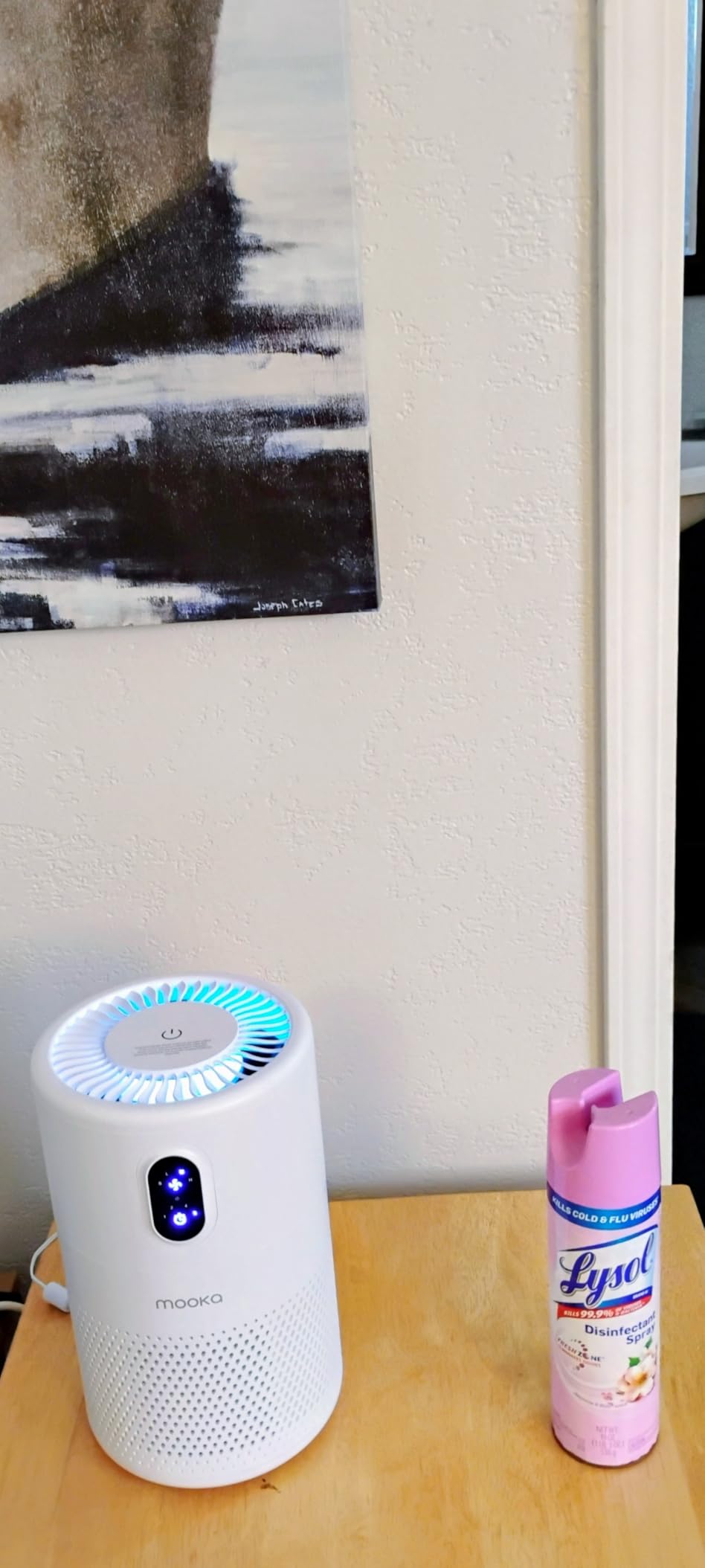 MOOKA Air Purifiers for Home Large Room up to 1076 ft², H13 True HEPA Air Filter Cleaner, Odor Eliminator, Remove Smoke Dust Pollen Pet Dander, Night Light(Available for California) Customer Review MOOKA Air Purifiers for Home Large Room up to 1076 ft², H13 True HEPA Air Filter Cleaner, Odor Eliminator, Remove Smoke Dust Pollen Pet Dander, Night Light(Available for California) - Customer Photo 2