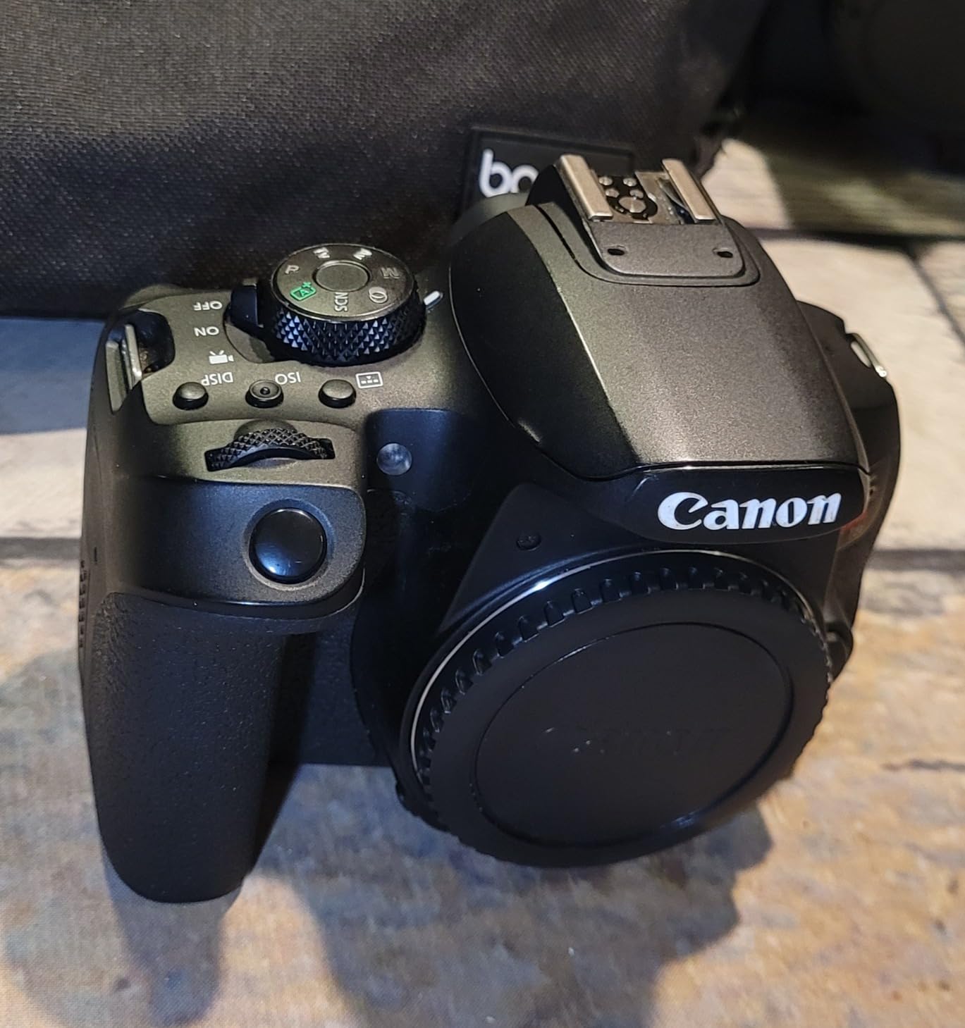 Canon EOS Rebel T8i DSLR Camera with 18-55mm Lens (Renewed) Customer Review Canon EOS Rebel T8i DSLR Camera with 18-55mm Lens (Renewed) - Customer Photo 2