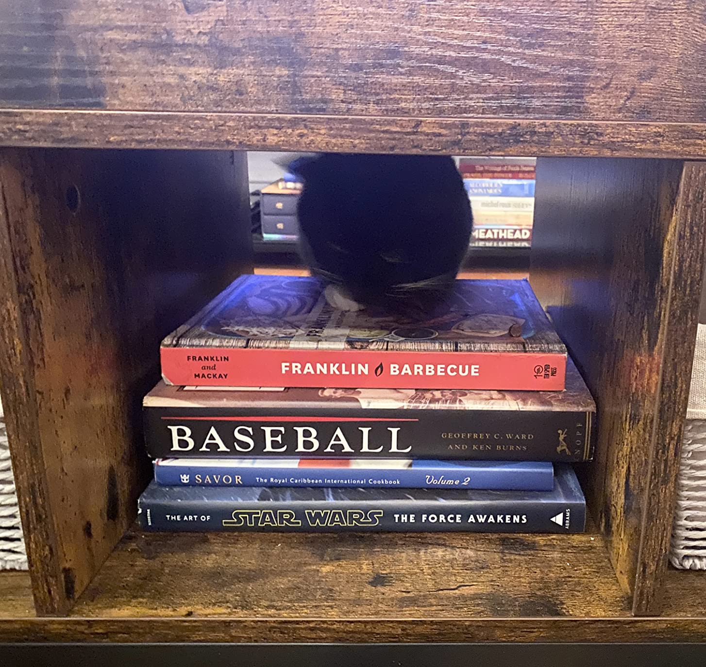 VASAGLE Lift Top Coffee Table, Lift Coffee Table with Storage Shelf, Hidden Compartments and Lifting Top, for Living Room, Office, 19.7 x 39.4 x (19.3-24.4) Inches, Rustic Brown and Black Customer Review VASAGLE Lift Top Coffee Table, Lift Coffee Table with Storage Shelf, Hidden Compartments and Lifting Top, for Living Room, Office, 19.7 x 39.4 x (19.3-24.4) Inches, Rustic Brown and Black - Customer Photo 2