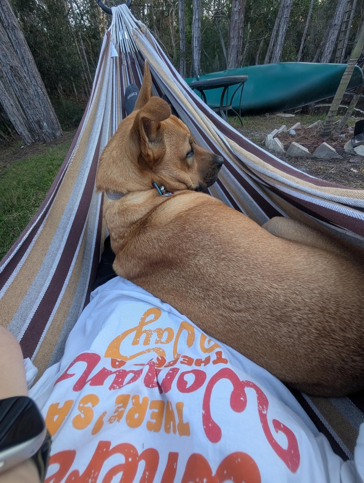Amazon Basics Double Hammock with 9-Foot Space Saving Steel Stand and Carrying Case, 450 lb Capacity, Vigor Green, 110x47x43 inches - Customer Photo 1