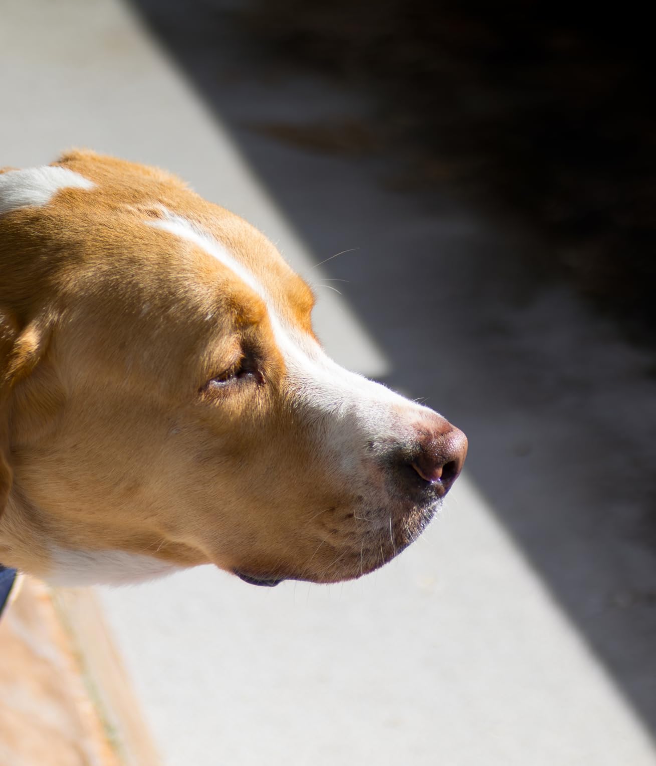 7Artisans 35mm F1.4 Mark II APS-C Manual Focus Fixed Lens for Sony E Mount Customer Review 7Artisans 35mm F1.4 Mark II APS-C Manual Focus Fixed Lens for Sony E Mount - Customer Photo 1