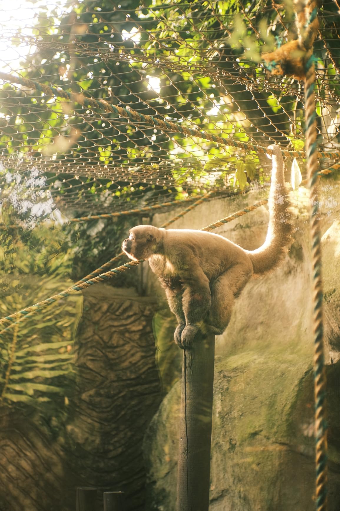 7Artisans 35mm F1.4 Mark II APS-C Manual Focus Fixed Lens for Sony E Mount Customer Review 7Artisans 35mm F1.4 Mark II APS-C Manual Focus Fixed Lens for Sony E Mount - Customer Photo 2