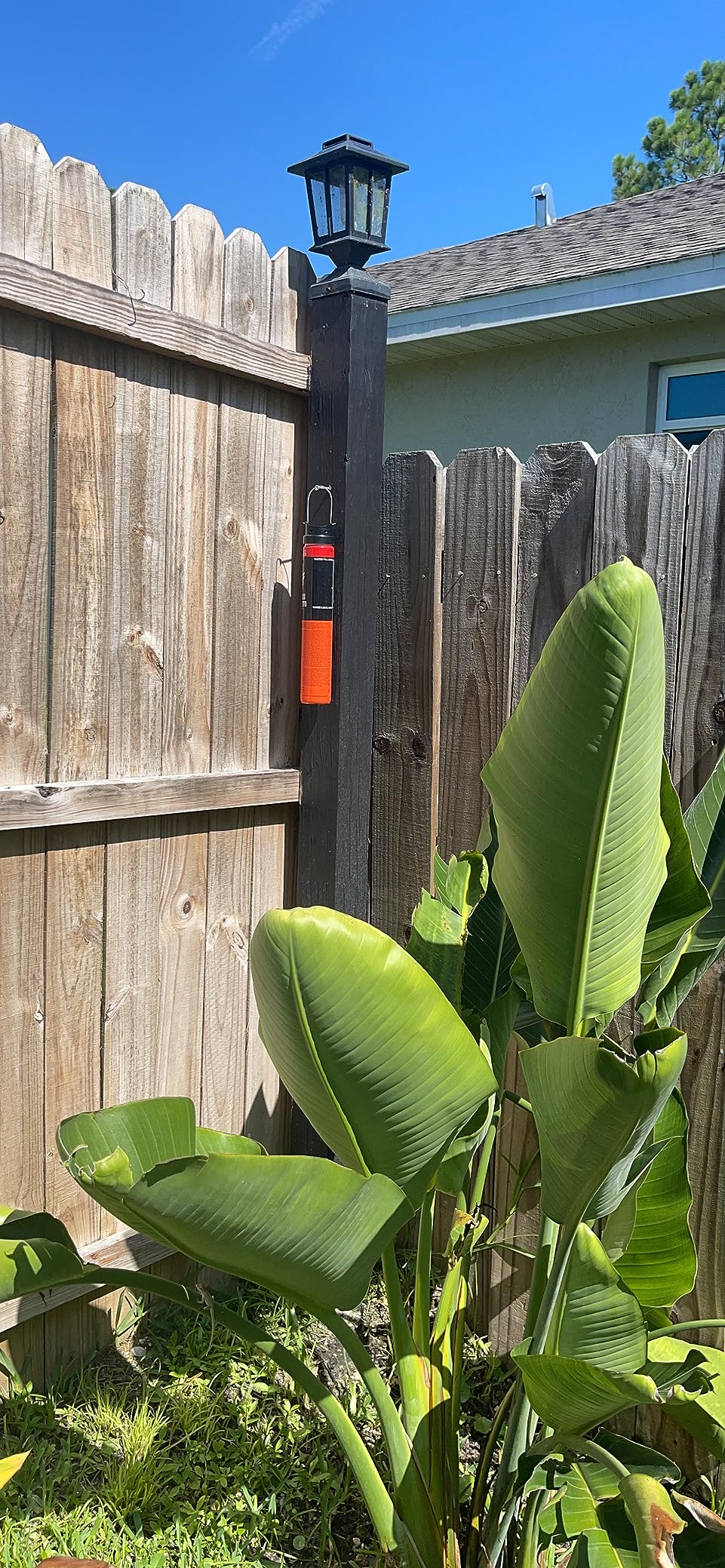 Spartan Mosquito Pro Tech - 1 Acre Pack 4 Tubes (2 Boxes) 100% American Made Customer Review Spartan Mosquito Pro Tech - 1 Acre Pack 4 Tubes (2 Boxes) 100% American Made - Customer Photo 1