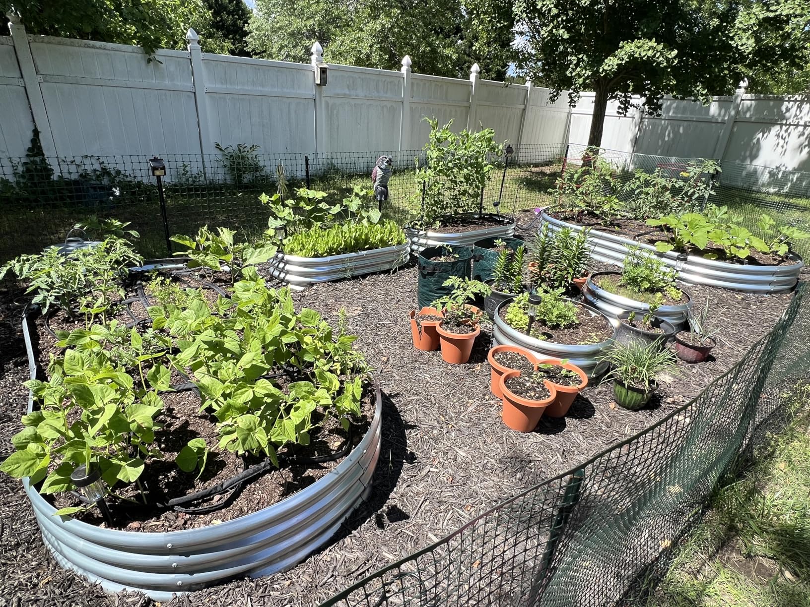 Land Guard Galvanized Raised Garden Bed Kit, Galvanized Planter Garden Boxes Outdoor, Oval Large Metal Raised Garden Beds for Vegetables customer photo 2