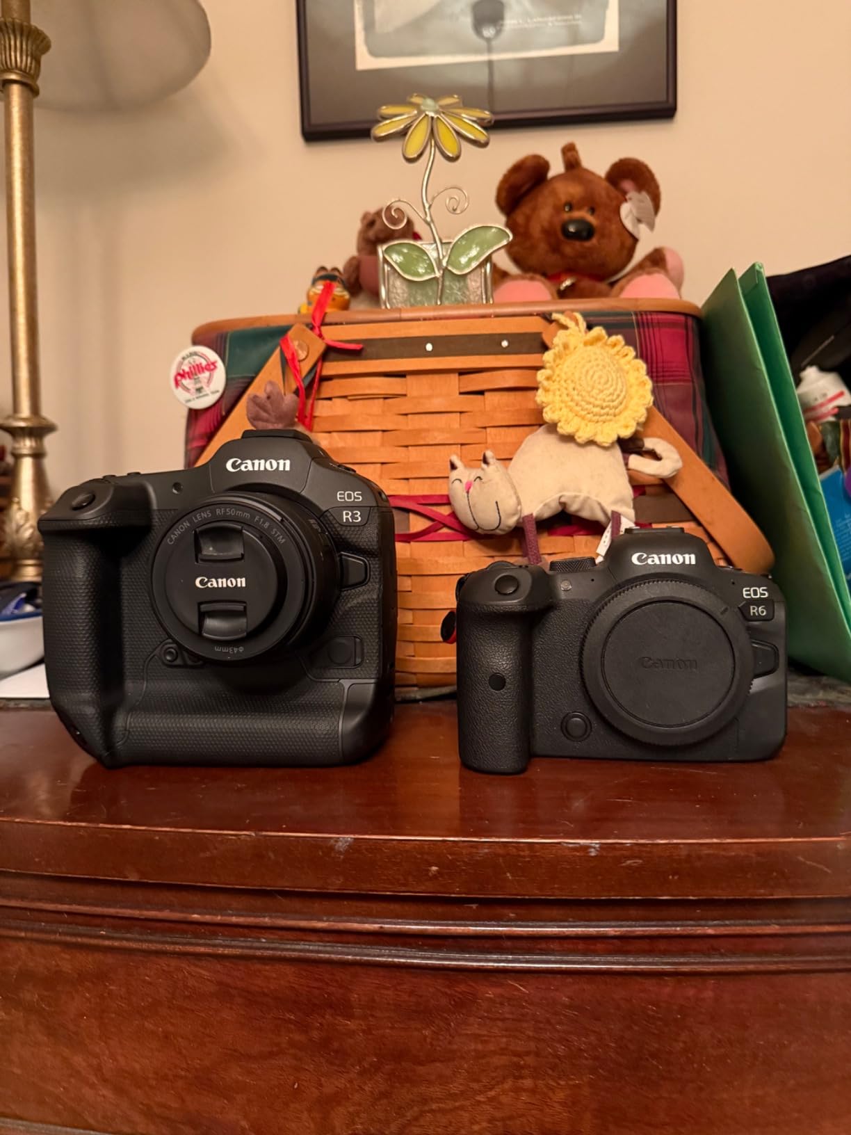 Canon EOS R3 Mirrorless Camera (Body Only) - Customer Photo 1