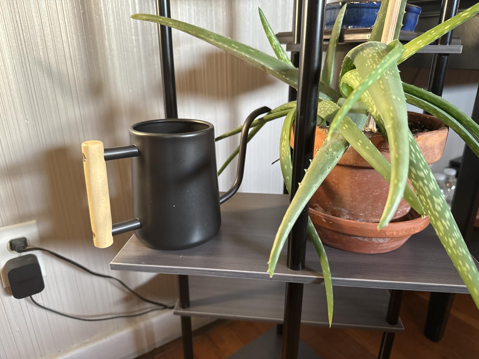 Watering Can for Indoor Plants, 35 oz/1000 ml Metal Stainless Steel Pot with Long Spout for House Plants Bonsai Outdoor Garden Flower Decorative (Black) customer photo 2