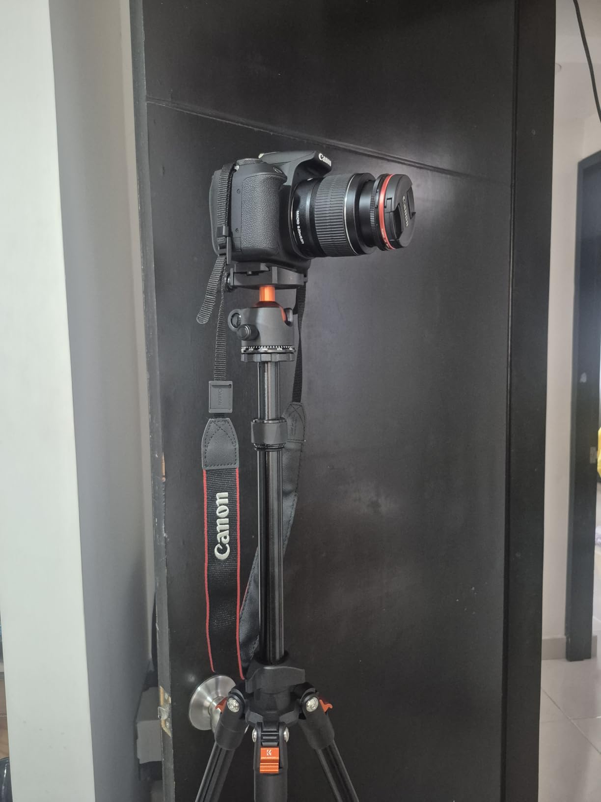 K&F CONCEPT 64 inch/163 cm Camera Tripod,Lightweight Travel Outdoor DSLR Tripods with 360 Degree Ball Head Load Capacity 17.6 lbs/8 kg,Cellphone Clip for Smartphone Live Streaming Vlog - Customer Photo 1