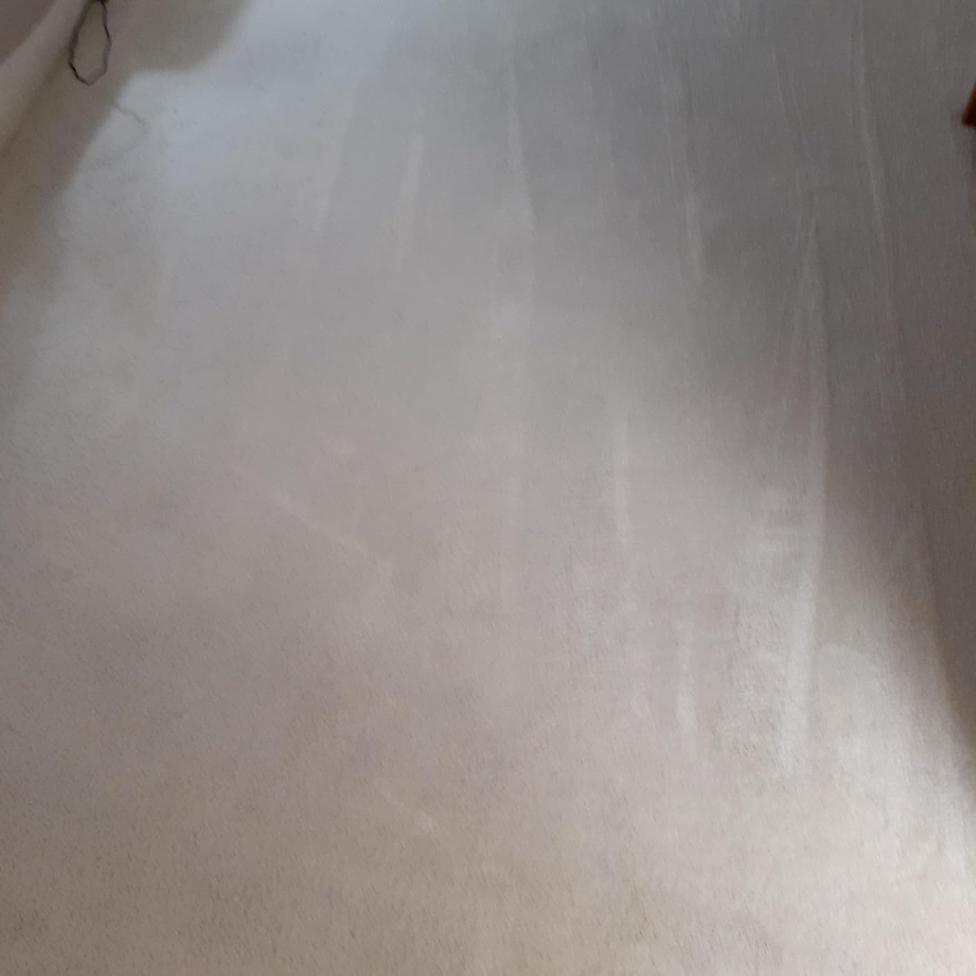 Hoover PowerDash Pet Advanced Compact Carpet Cleaner Machine with Above Floor Cleaning, Lightweight Carpet Shampooer Machine, Pair with a Hoover Carpet Cleaner Solution for a Bright, Refreshed Home - Customer Photo 1
