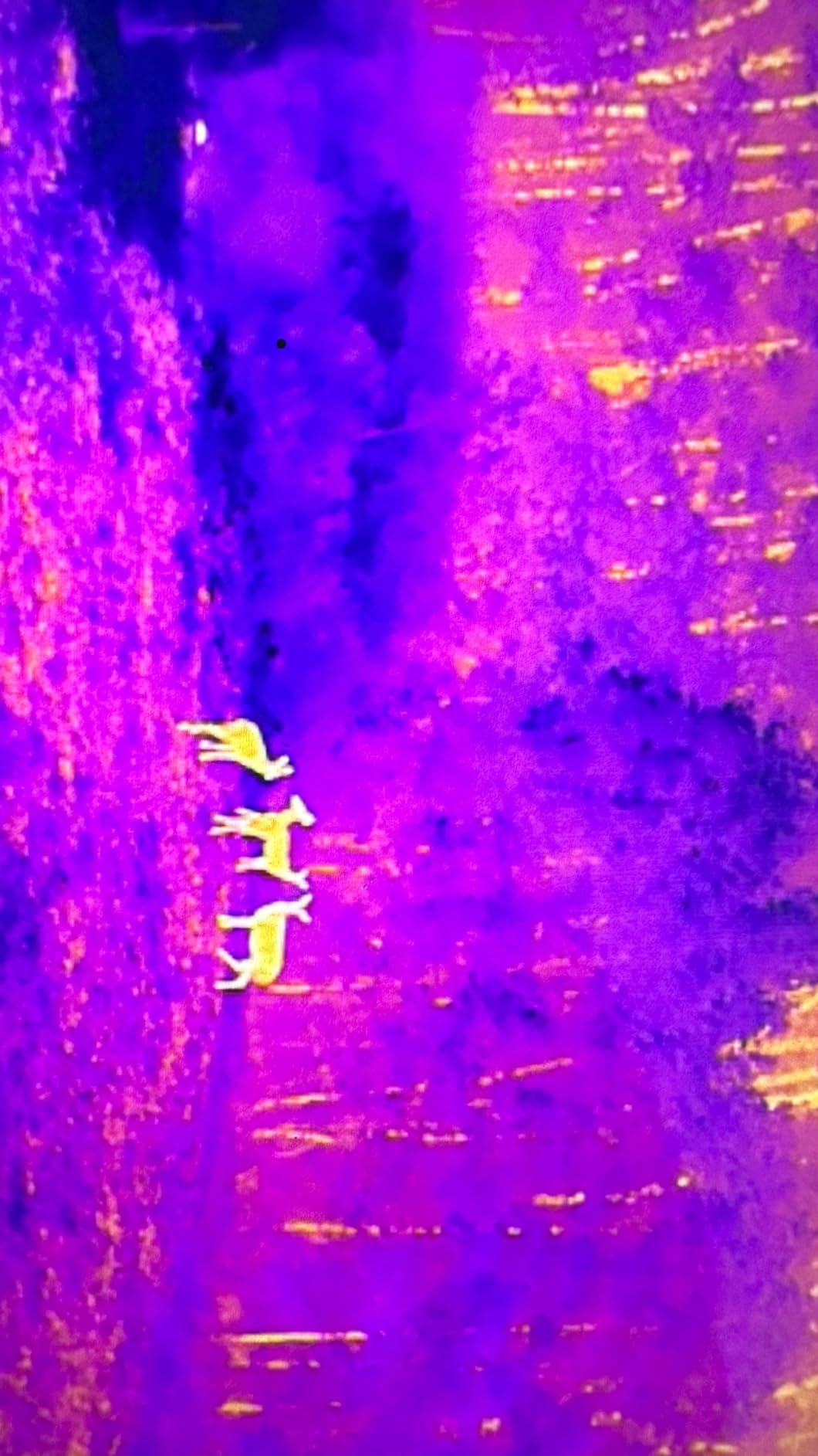 Autel Robotics EVO II Dual 640T V3, 640x512 Thermal Imaging Drone, Remote ID Supported, 0.8'' CMOS&50MP 8K RYYB Sensor,10+ Temp Measurement, D-RI Ranges, Thermal Analysis Tool, for Search&Rescue/Power Inspection/Public Safety/Hunting Customer Review Autel Robotics EVO II Dual 640T V3, 640x512 Thermal Imaging Drone, Remote ID Supported, 0.8'' CMOS&50MP 8K RYYB Sensor,10+ Temp Measurement, D-RI Ranges, Thermal Analysis Tool, for Search&Rescue/Power Inspection/Public Safety/Hunting - Customer Photo 2