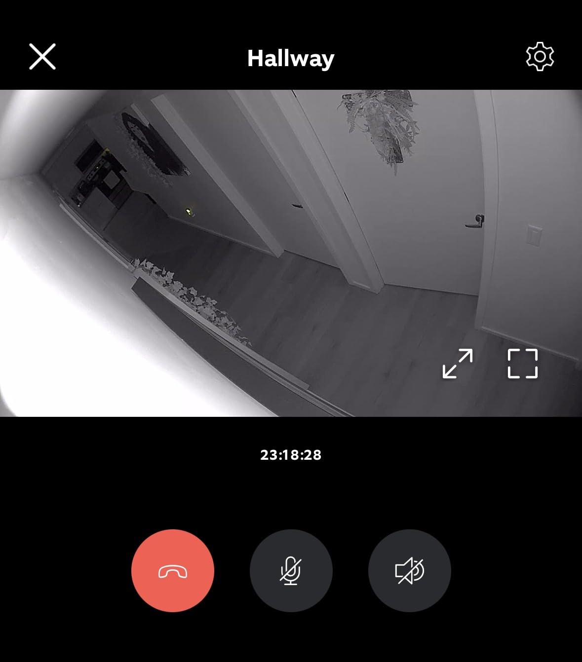 Ring Indoor Cam, Home or business security in 1080p HD video, White Customer Review Ring Indoor Cam, Home or business security in 1080p HD video, White - Customer Photo 1
