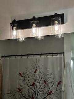 Aipsun 48in Vanity Light Black Bathroom Vanity Lighting Fixtures 6 Light Bathroom Light Fixtures with Clear Glass Shade(Exclude Bulb) - Customer Photo 1