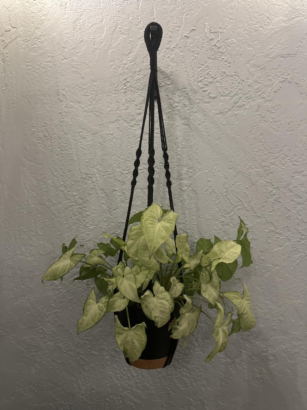 Bouqlife 3 Set Self Watering Hanging Planters for Indoor Plants | 7/6/5.5 Inch Pots with Macrame Plant Hangers, Drainage Reservoirs and Hooks, Hanging Plant Holders, White customer photo 2