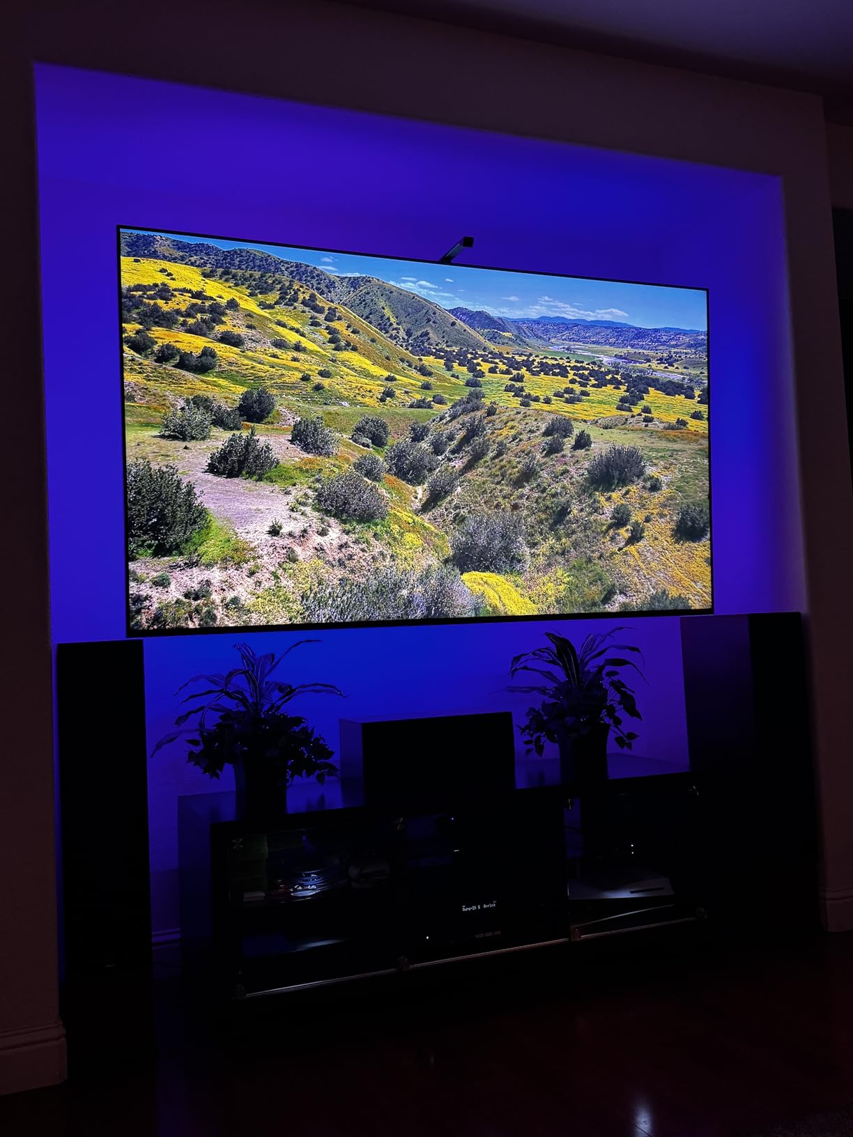 Govee TV LED Backlight, RGBIC Smart LED Strip Lights for 55-65 Inch TVs, Bluetooth and Wi-Fi APP Control, Works with Alexa & Google Assistant, Music Sync, 99+ Scene Modes, Adapter Customer Review Govee TV LED Backlight, RGBIC Smart LED Strip Lights for 55-65 Inch TVs, Bluetooth and Wi-Fi APP Control, Works with Alexa & Google Assistant, Music Sync, 99+ Scene Modes, Adapter - Customer Photo 4