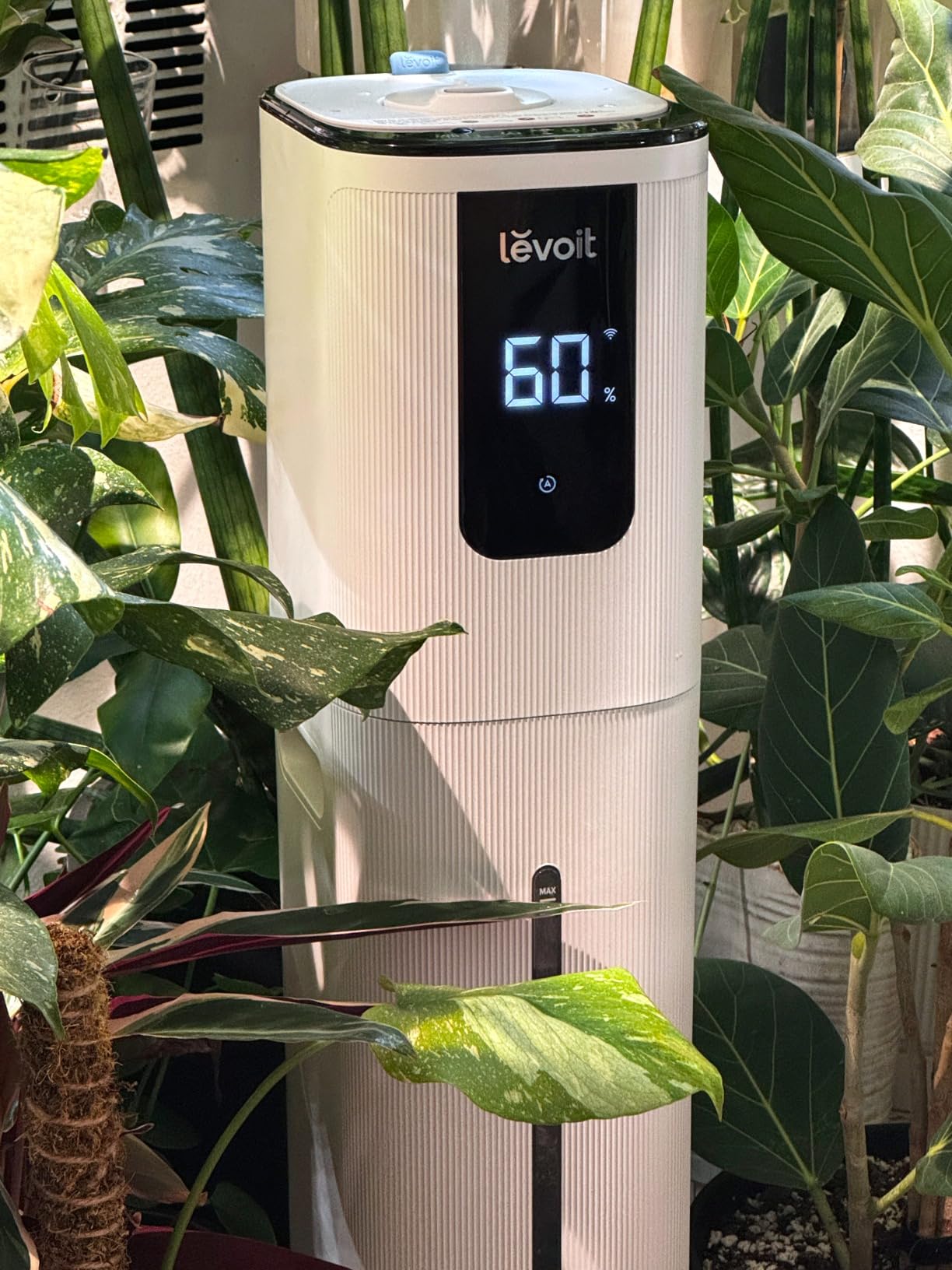 Levoit OasisMist 1000S customer photo 2