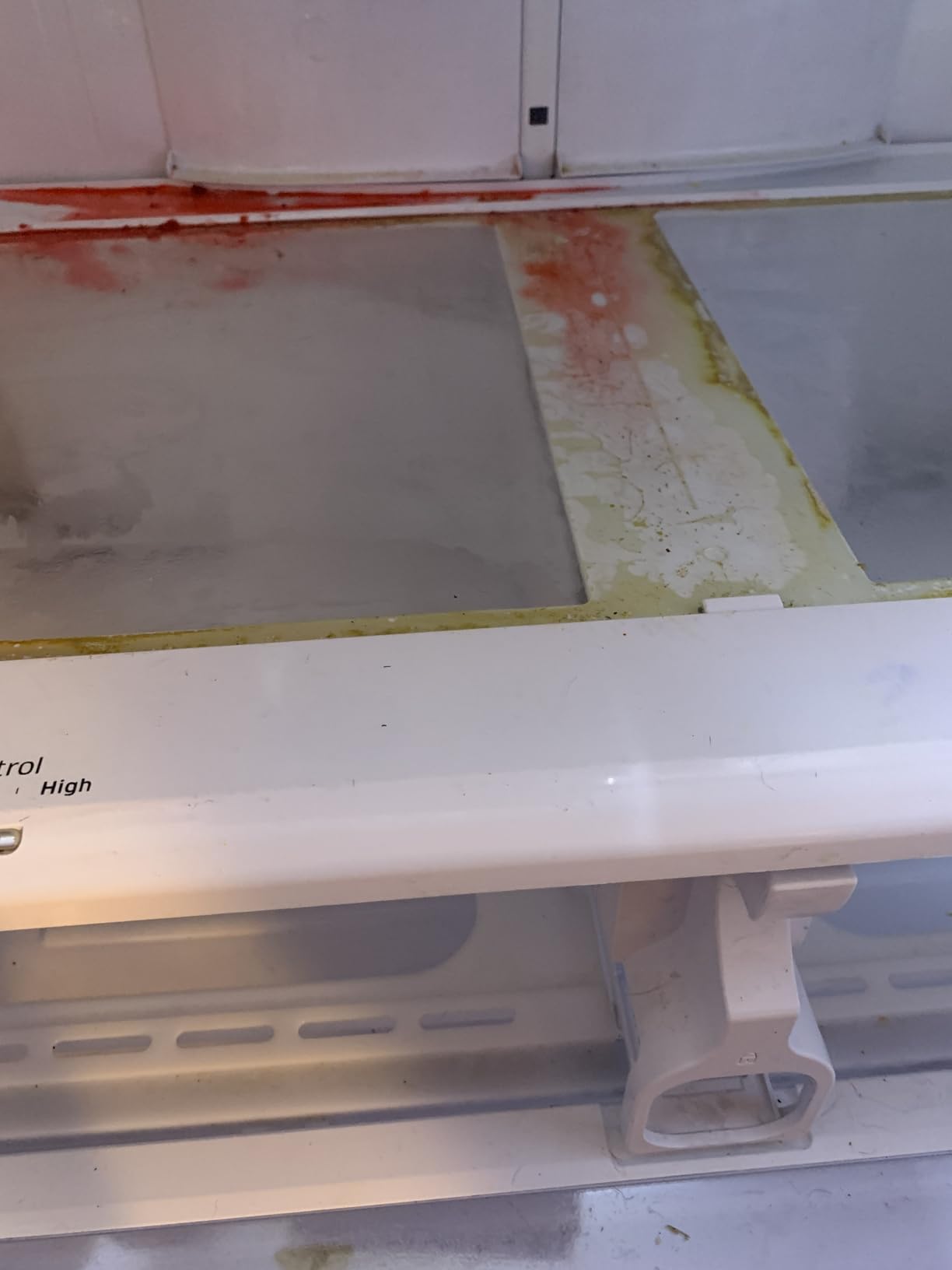 SAMSUNG RF29BB8600QL 29 Cu. Ft. Bespoke Stainless Steel 4-Door French Door Refrigerator Customer Review SAMSUNG RF29BB8600QL 29 Cu. Ft. Bespoke Stainless Steel 4-Door French Door Refrigerator - Customer Photo 1