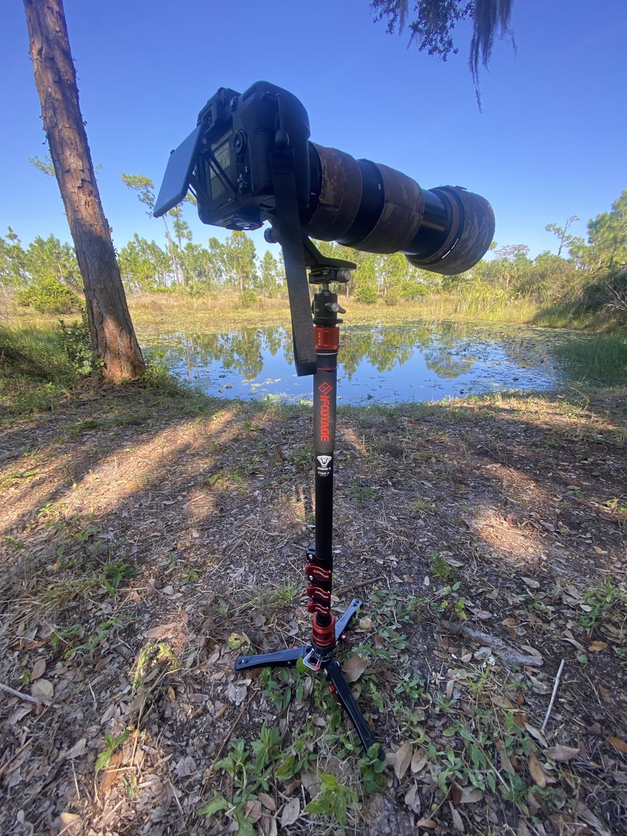 IFOOTAGE Monopod Cobra 3 C180F-P, 71 IFOOTAGE Monopod Cobra 3 C180F-P, 71