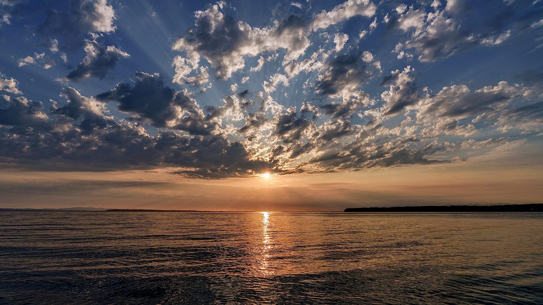 Sony FE 20-70mm f/4 G Lens (Sony E) Customer Review Sony FE 20-70mm f/4 G Lens (Sony E) - Customer Photo 2