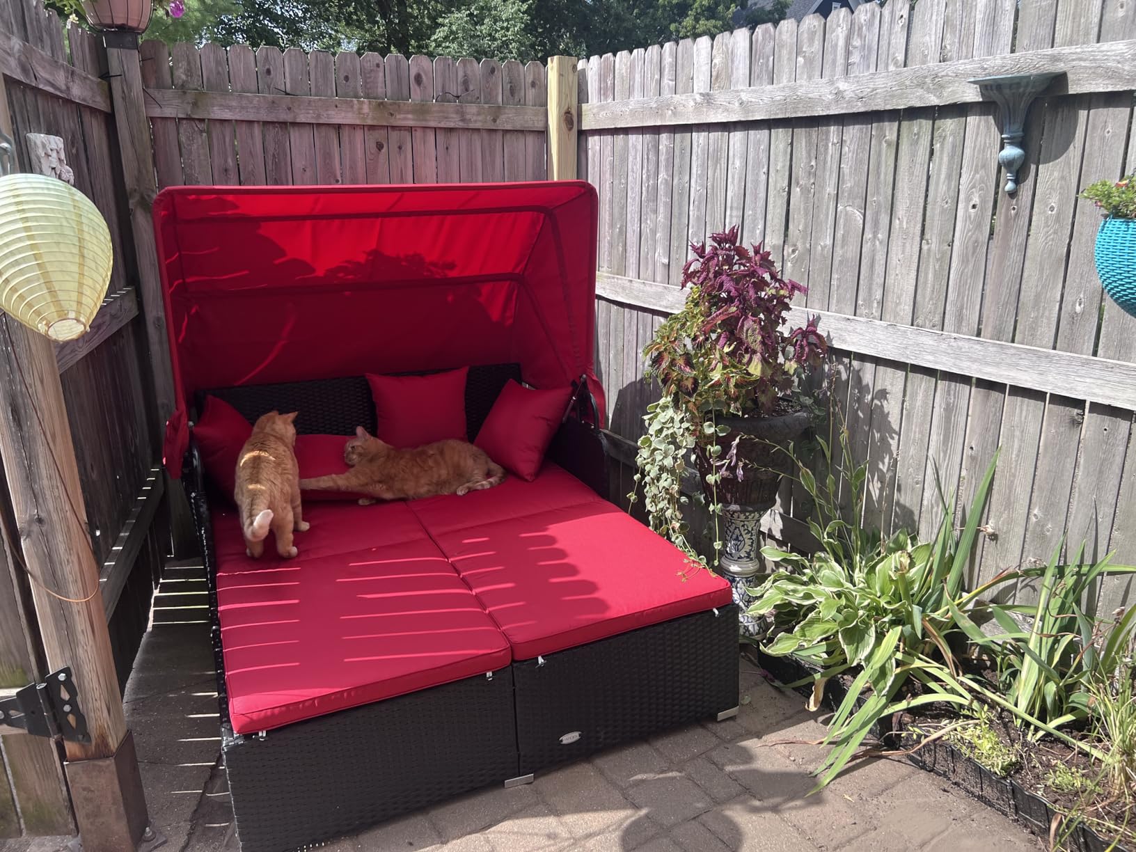 RELAX4LIFE Patio Outdoor Daybed with Canopy, Wicker Sunbed w/Cushions, 4 Pillows & 2 Retractable Side Trays, 2-Person Lounge Bed Conversation for Poolside Porch Garden, Rattan Outdoor Bed (Off White) - Customer Photo 1