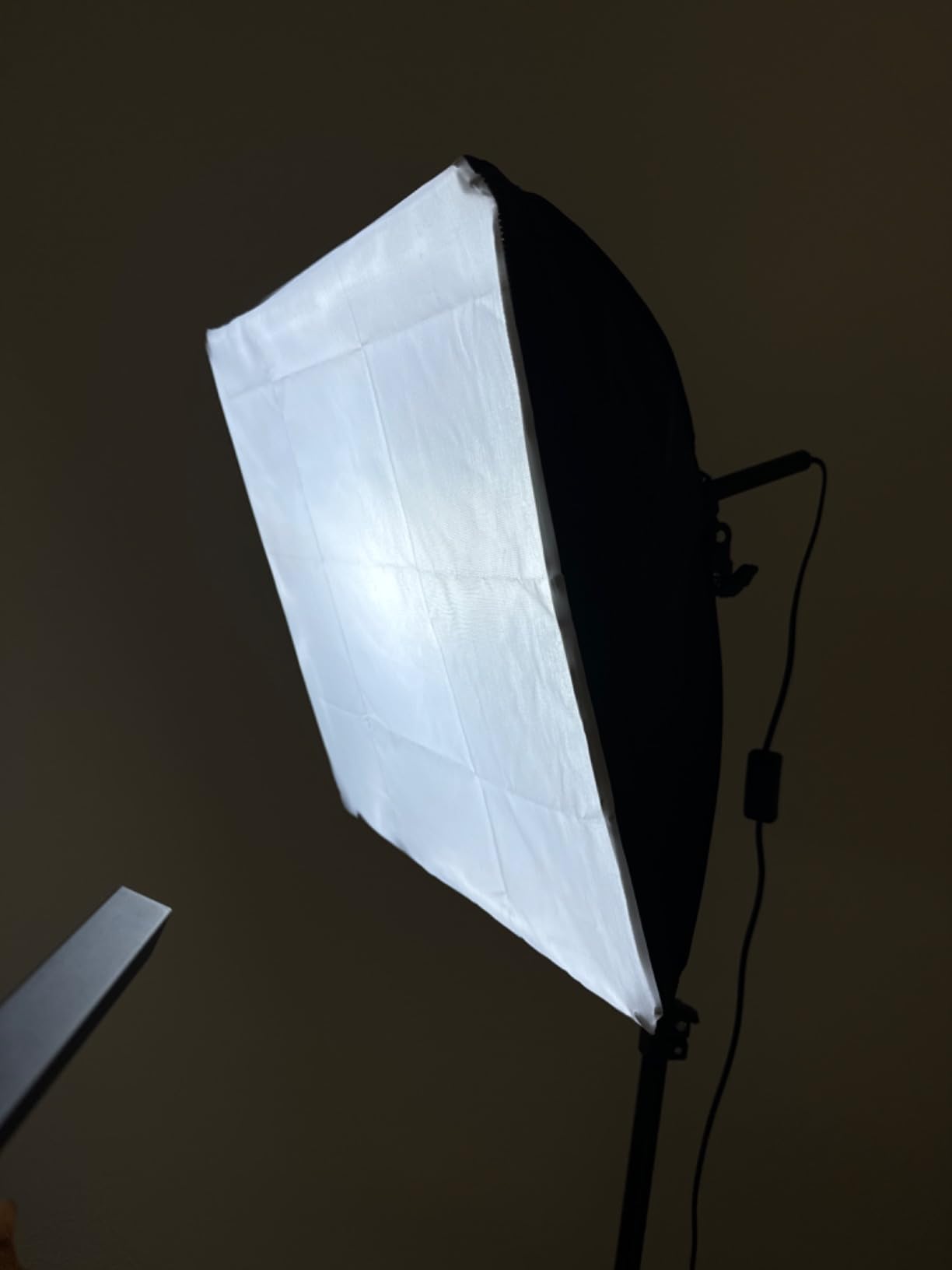 Torjim Softbox Photography Lighting Kit, 16'' x 16'' Professional Softbox Lighting Kit with 85W 3000-7500K LED Bulbs, Studio Lights for Photography/Video Recording/Live Streaming/Portraits Shooting Customer Review Torjim Softbox Photography Lighting Kit, 16'' x 16'' Professional Softbox Lighting Kit with 85W 3000-7500K LED Bulbs, Studio Lights for Photography/Video Recording/Live Streaming/Portraits Shooting - Customer Photo 4