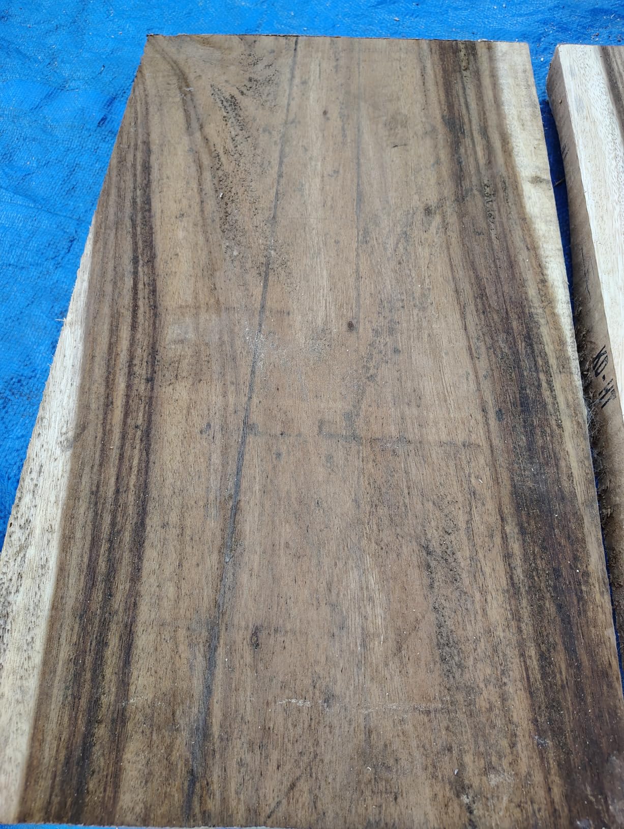 WEN Thickness Planer, Two Speed, 13-Inch Spiral Blade, Benchtop (PL1337) customer photo 1
