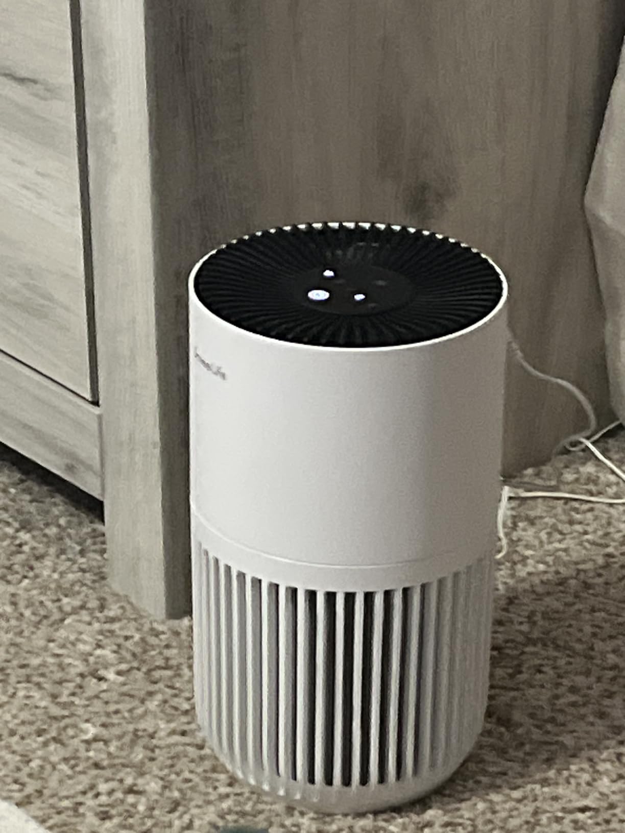 GoveeLife Mini Air Purifier for Bedroom, Smart Filter Air Purifier with App Alexa Control for Pet Hair, Odors, Pollen, HEPA Portable Air Cleaner with 3 Speeds, 2 Modes, Timer, Aroma for Home customer photo 1