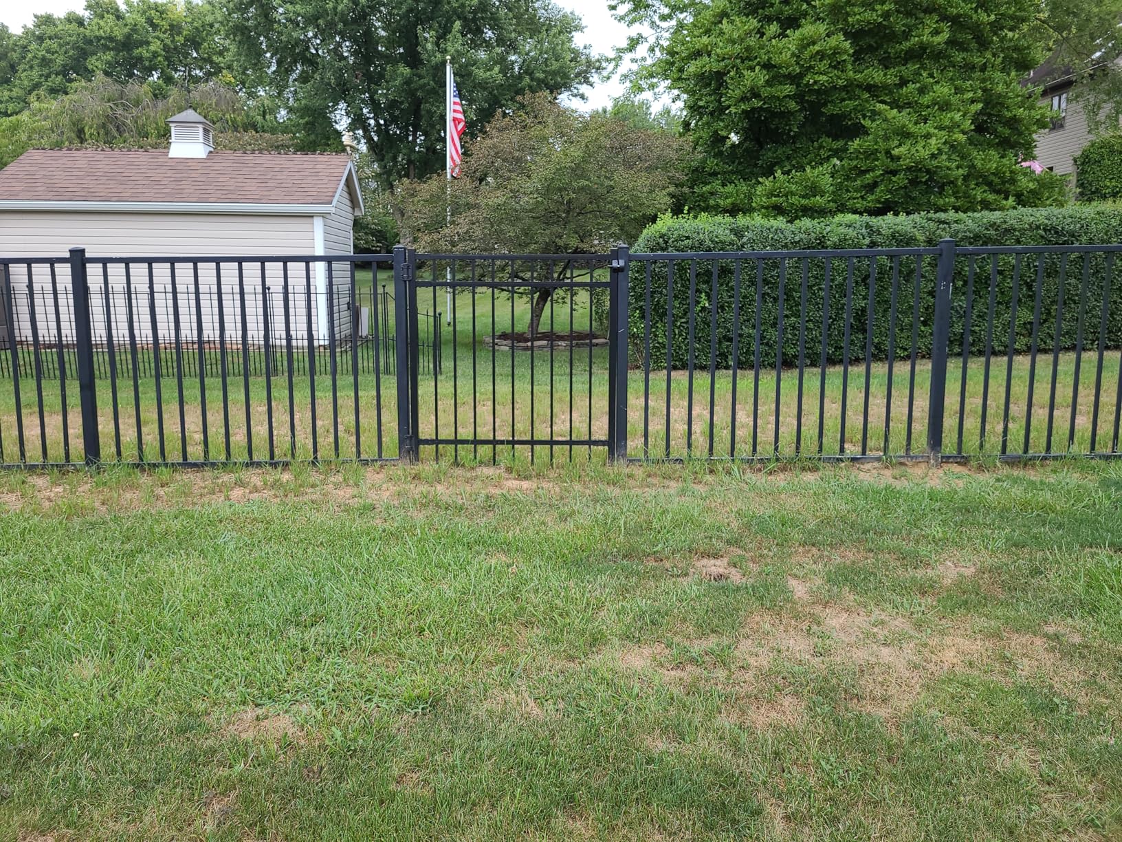 Weatherables Livingston Aluminum Fence Kit – DIY Kit for Backyard and Garden Fencing, Made with Durable Powder-Coated Aluminum That Combats Rust, Fading, and Corrosion (4' x 6' Fence Panel) Customer Review Weatherables Livingston Aluminum Fence Kit – DIY Kit for Backyard and Garden Fencing, Made with Durable Powder-Coated Aluminum That Combats Rust, Fading, and Corrosion (4' x 6' Fence Panel) - Customer Photo 2