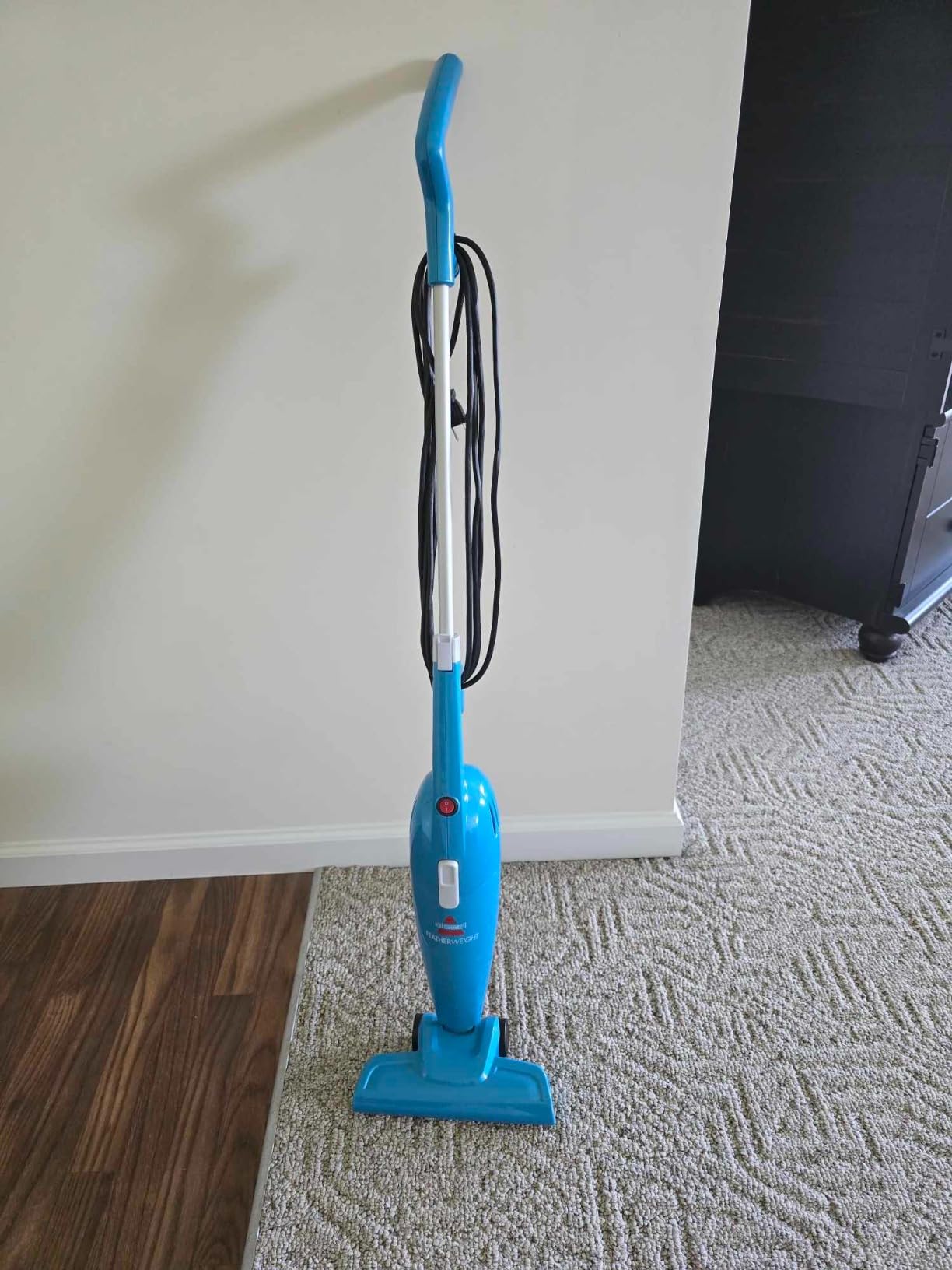 Bissell Cleanview XR Pet 300W Cordless Vacuum with Removable Battery, 3797V - Customer Photo 2