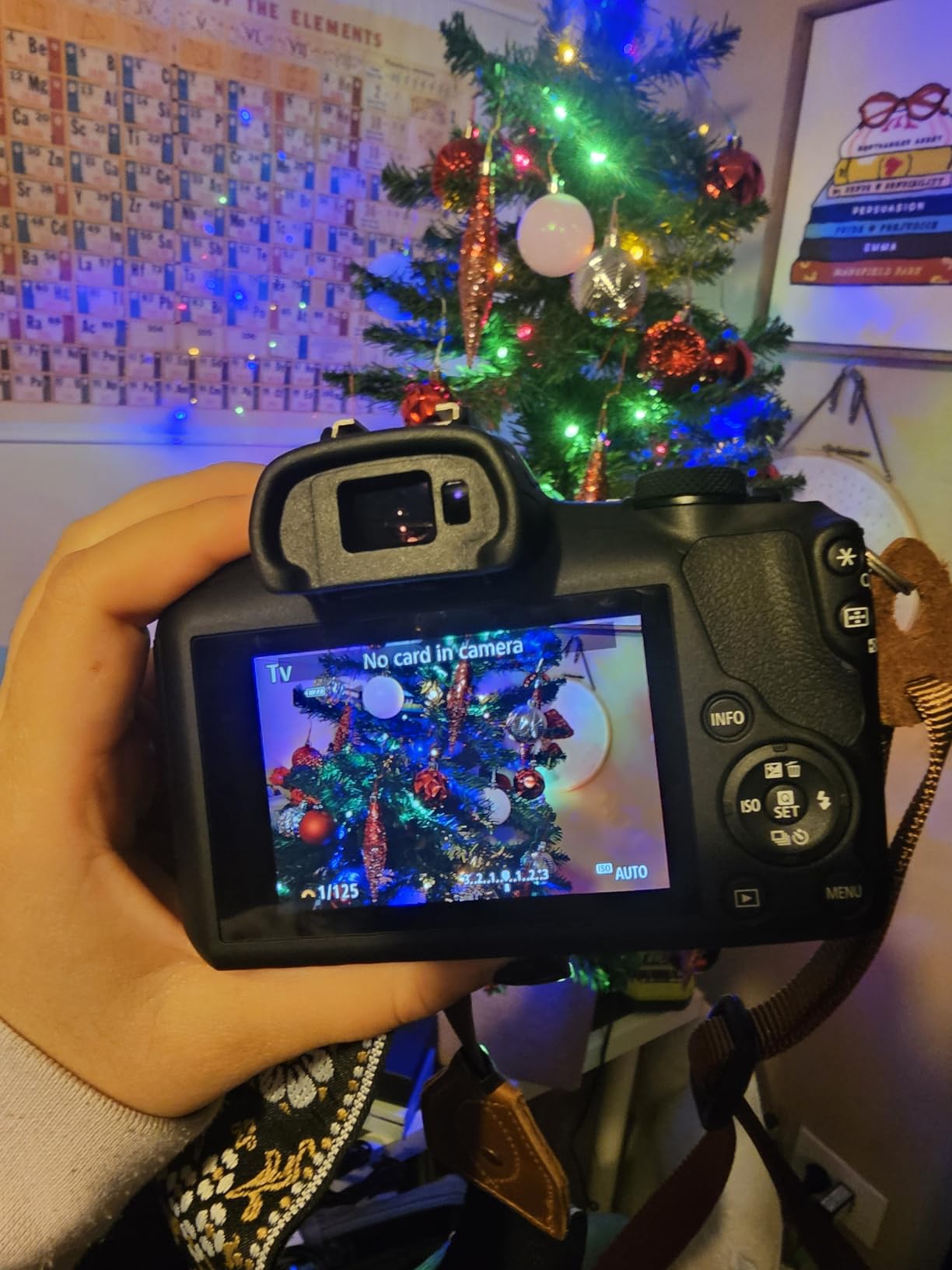 Canon EOS R100 Mirrorless Camera, RF Mount, 24.1 MP, DIGIC 8 Image Processor, Continuous Shooting, Eye Detection AF, Full HD Video, 4K, Small, Lightweight, Wi-Fi, Bluetooth, Content Creation - Customer Photo 2