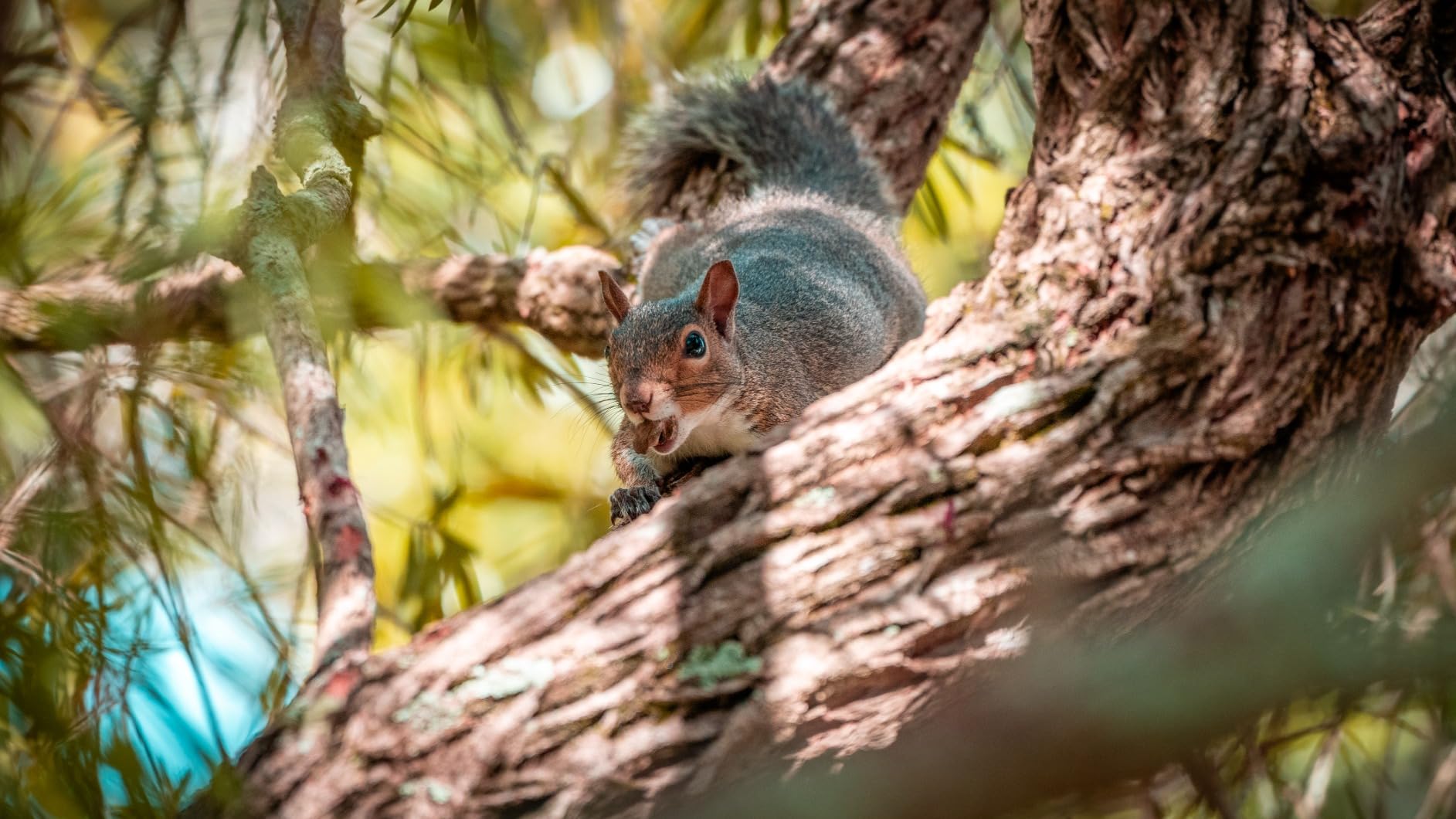 Sony FE 70-200mm F4 Macro G OSS II Customer Review Sony FE 70-200mm F4 Macro G OSS II - Customer Photo 2