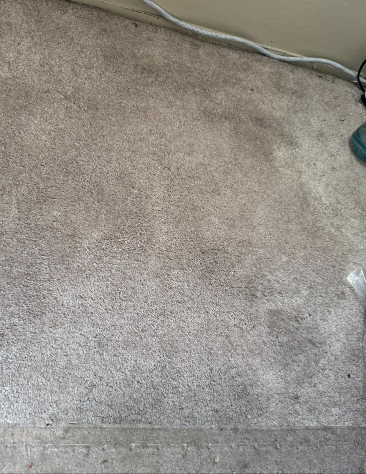 Shark StainStriker | Portable Carpet, Upholstery & Area Rug Cleaner | 4 Tools | Bonus Full-Size Solutions | Powerful Stain & Odor Remover | Deep Clean & OXY Solutions | Blue | PX202BRN customer photo 2