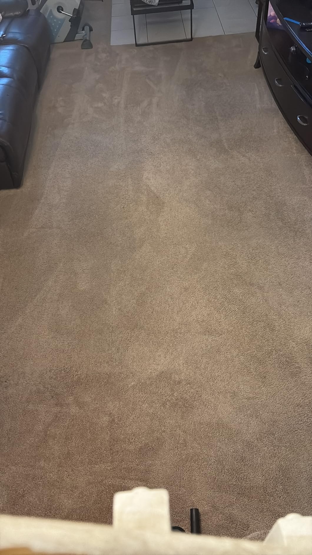 BISSELL TurboClean Pet XL Upright Carpet Cleaner, Upholstery Tough Stain Tool & Formula included, 3746 - Customer Photo 1