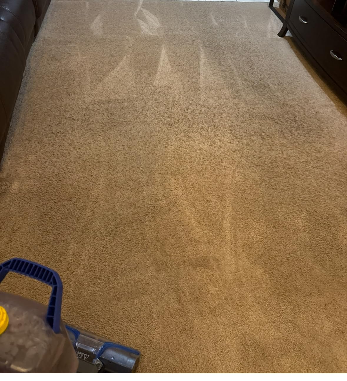 BISSELL TurboClean Pet XL Upright Carpet Cleaner, Upholstery Tough Stain Tool & Formula included, 3746 - Customer Photo 2