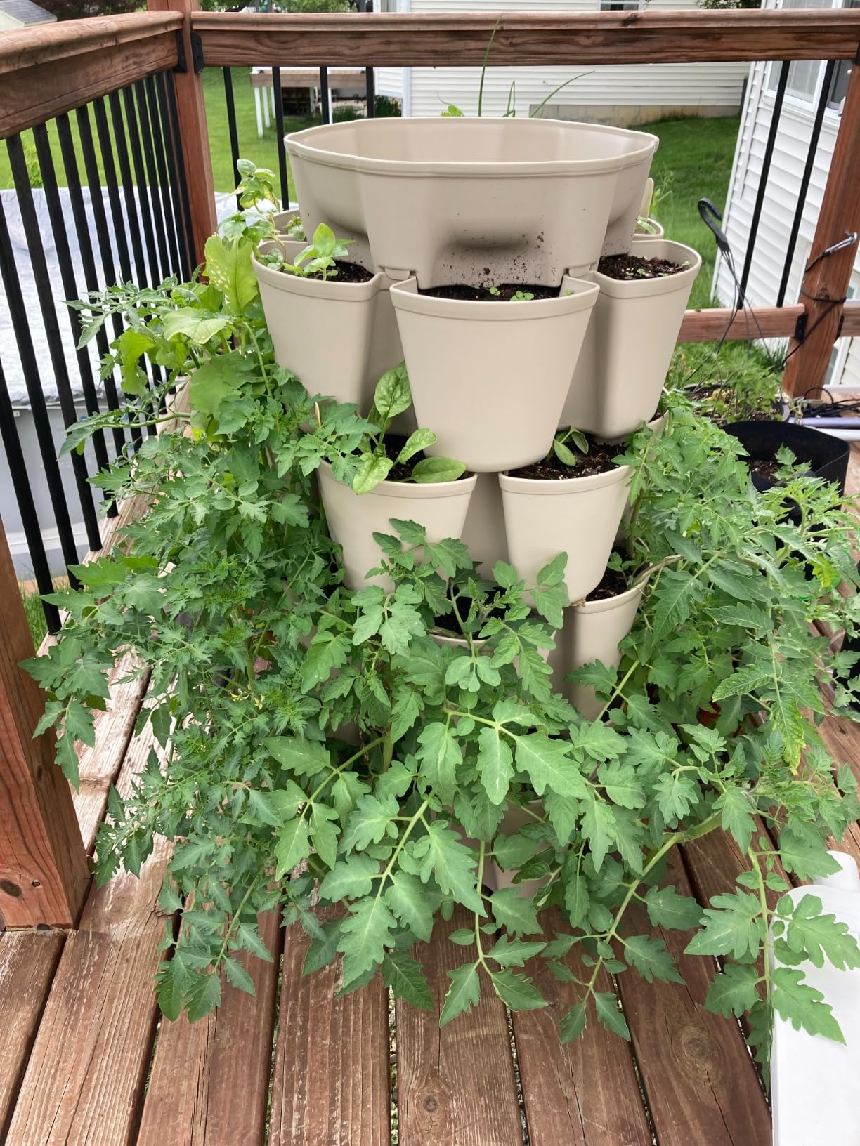 Greenstalk Patented Large 5 Tier Vertical Garden Planter with Patented Internal Watering System Great for Growing a Variety of Strawberries, Vegetables, Herbs, & Flowers (Evergreen) customer photo 1