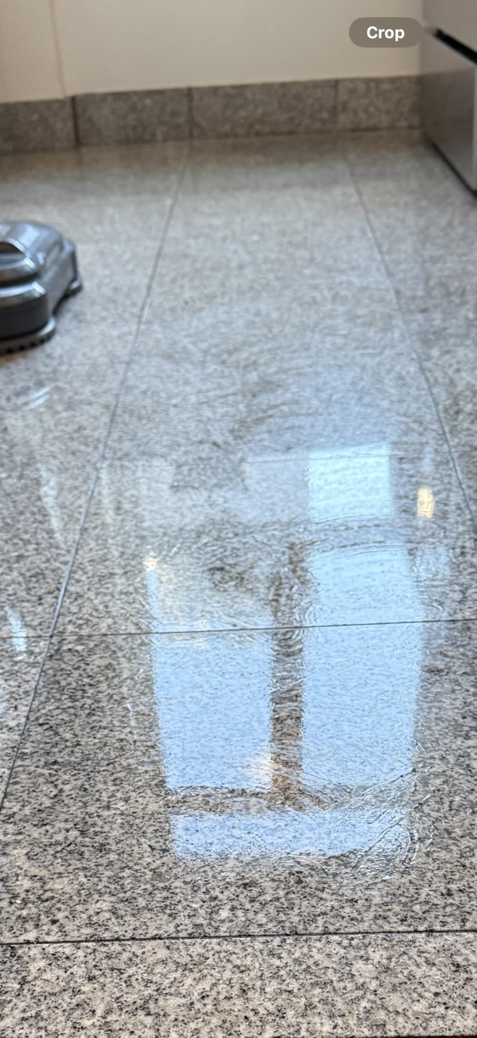 BISSELL SpinWave SmartSteam Scrubbing Steam Mop with Rotating Mop Pads - Customer Photo 2