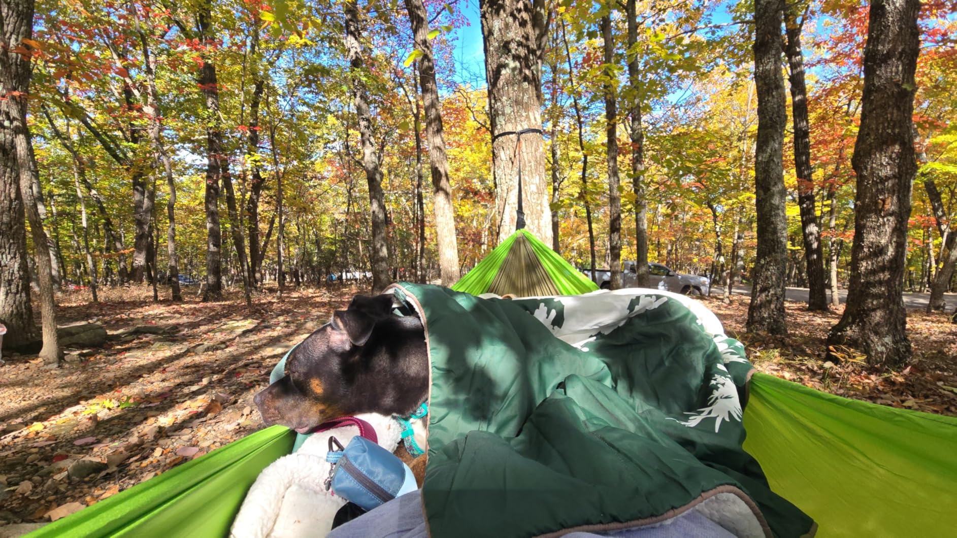 GORILLA GRIP Durable Camping Hammock with Heavy Duty Tree Straps, Portable Hammocks for Outside, Easy to Use Travel Swing Chair, Outdoor Camper Hiker Essentials, Backpacking Gear Gifts, Single, Blue - Customer Photo 2