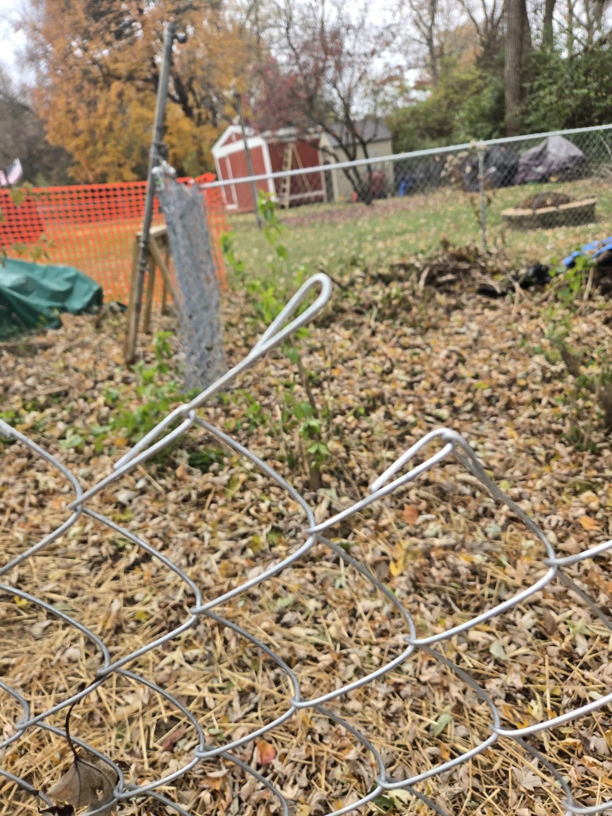 ALEKO Galvanized Steel Chain Link Fence | Complete Kit | 4 x 50 Ft | 11.5-AW Gauge | Silver | KITCLF115G4X50 Customer Review ALEKO Galvanized Steel Chain Link Fence | Complete Kit | 4 x 50 Ft | 11.5-AW Gauge | Silver | KITCLF115G4X50 - Customer Photo 2