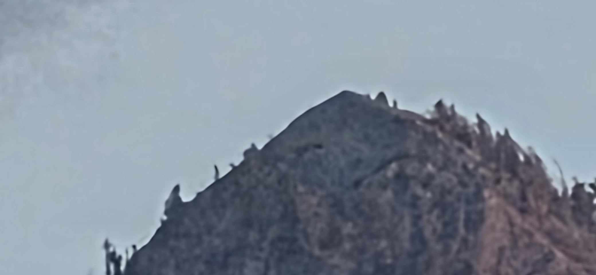 Canon RF200-800mm F6.3-9 is USM Super-telephoto Zoom Lens, Mirrorless, Powerful Zoom Range, Comfortable Handheld Shooting, for Wildlife, Nature, Outdoor Sports, Compact & Lightweight Customer Review Canon RF200-800mm F6.3-9 is USM Super-telephoto Zoom Lens, Mirrorless, Powerful Zoom Range, Comfortable Handheld Shooting, for Wildlife, Nature, Outdoor Sports, Compact & Lightweight - Customer Photo 2