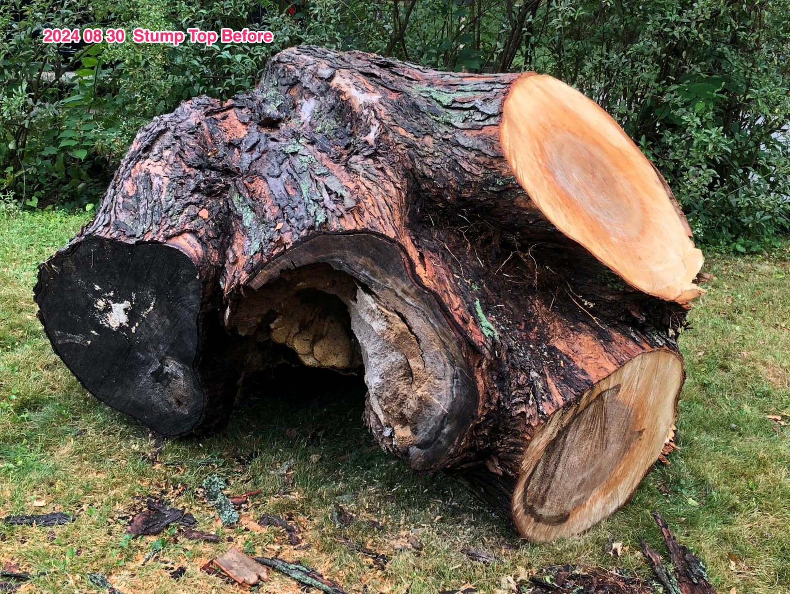 EGO POWER+ Chain Saw, 20