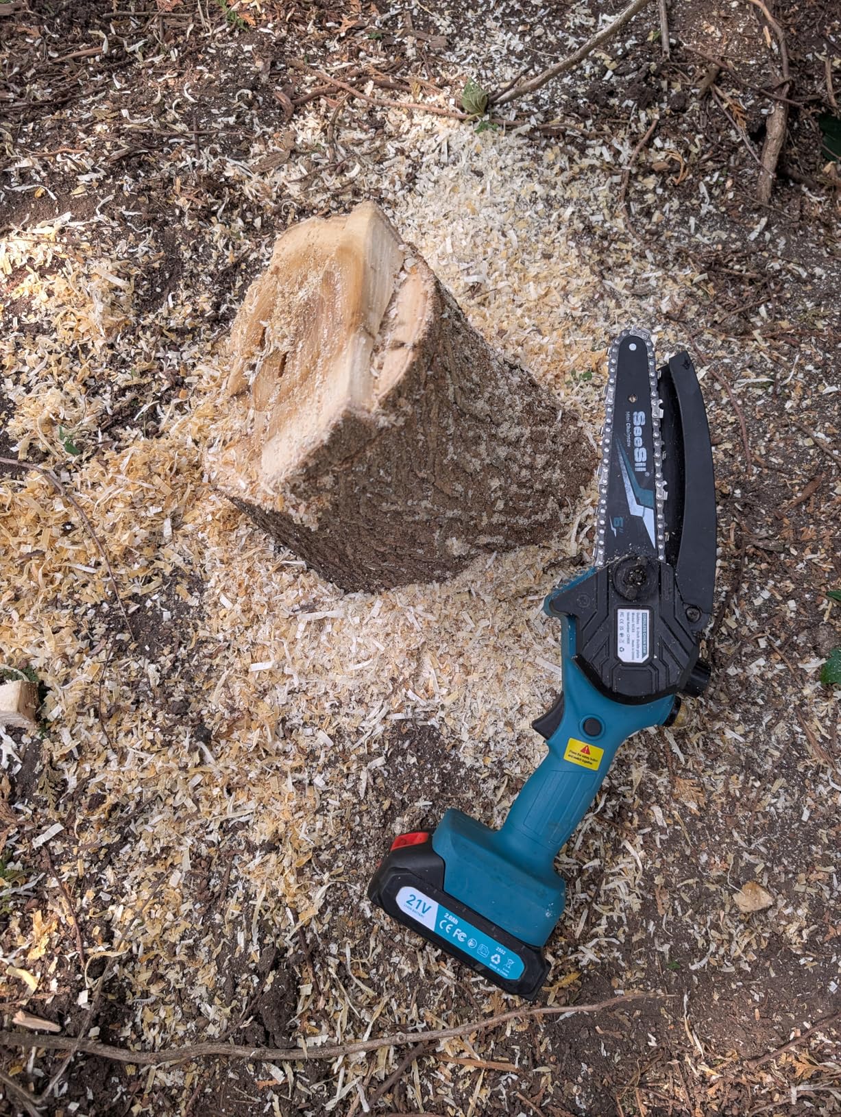 SEESII Mini Chainsaw 6 inch,Cordless Chainsaw w/ 2x2000mAh Batteries,Oiler System & Replacement Chain,Handheld Electric Chain Saw w/Safety Lock,Battery Powered Chainsaw for Wood Tree Cutting, CH600+ - Customer Photo 2