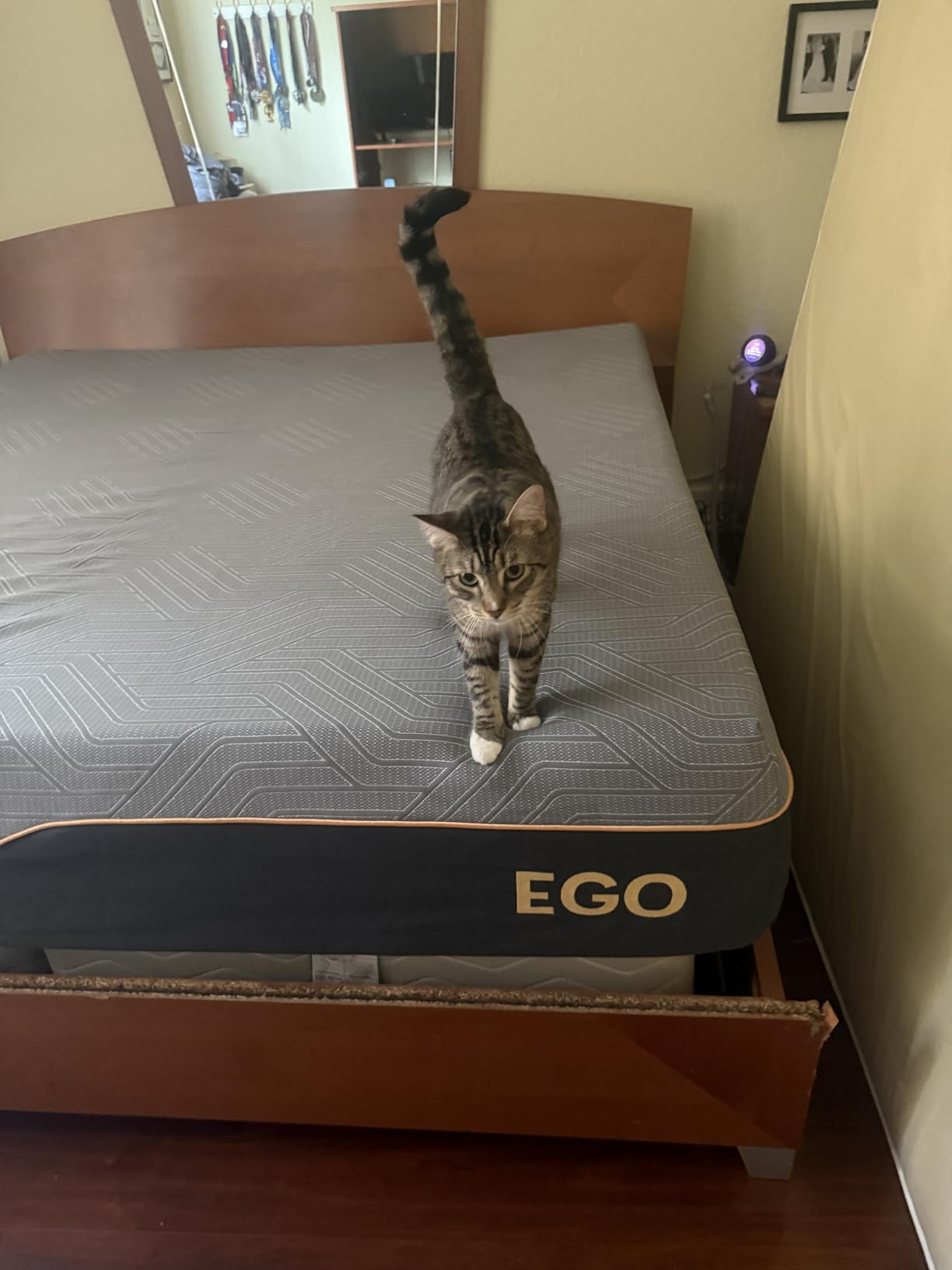 MLILY EGOHOME 14 Inch Twin XL Mattress, Copper Gel Memory Foam Mattress for Pain Relief, Therapeutic Mattress in a Box, CertiPUR-US Certified, Fiberglass Free Medium Mattress, Black - Customer Photo 1