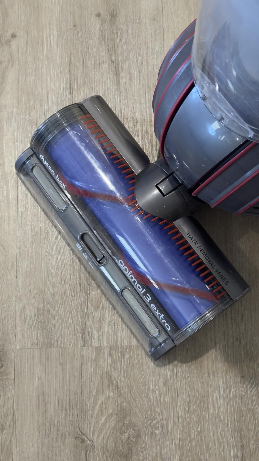 Dyson Ball Animal Total Clean Upright Vacuum, Corded, 290AW, Self-Adjusting Cleaner Head for All Floors, Homes with Pets Customer Review Dyson Ball Animal Total Clean Upright Vacuum, Corded, 290AW, Self-Adjusting Cleaner Head for All Floors, Homes with Pets - Customer Photo 1