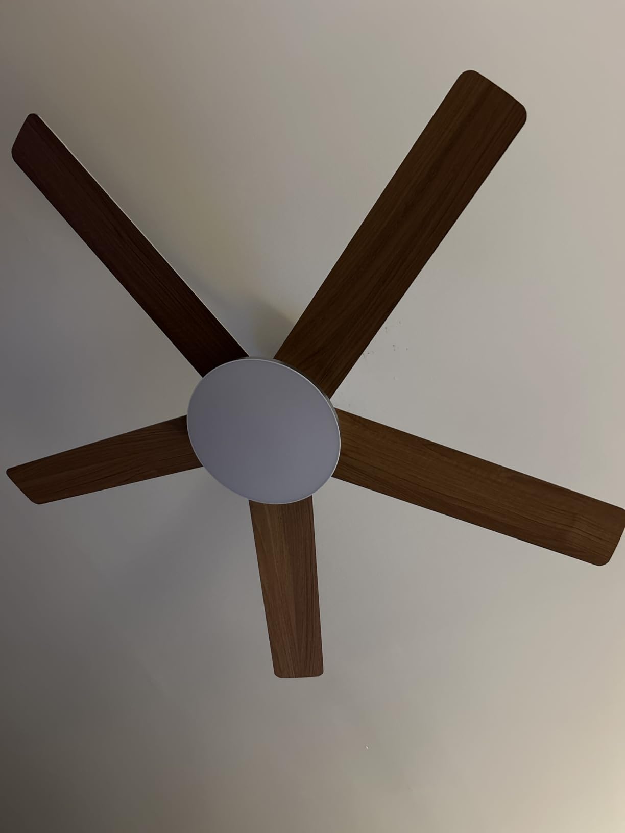 Dreo Ceiling Fans with Lights, 52 Inch, 6 Speeds, 5 Color Tones Dimmable LED, Quiet Reversible DC Motor, Remote, 8H Timer, Black Ceiling Fan for Bedroom, Living Room, Easy to Install - Customer Photo 1