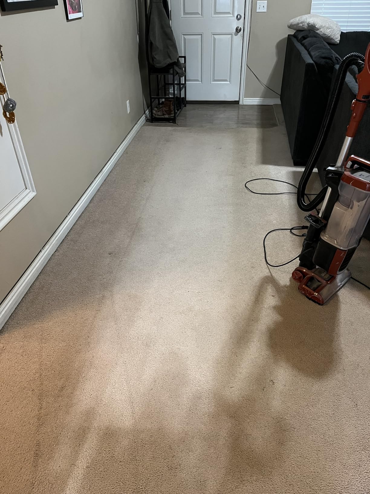 Shark CarpetXpert Upright Carpet & Area Rug Cleaner, Perfect for Pets, Lightweight & Powerful, Dirt, Grime, & Odor Removal, Carpet Shampooer, Cleaning Solution, Blue, EX121BRN - Customer Photo 1