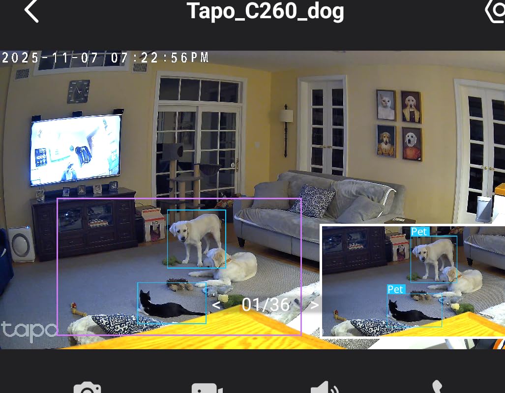 TP-Link Tapo 2K QHD Pan/Tilt Security Camera for Pet Camera, Baby Monitor, Motion Detection, Motion Tracking, 2-Way Audio, Night Vision, Cloud &SD Card Storage, Works w/Alexa & Google Home(Tapo C220) - Customer Photo 2