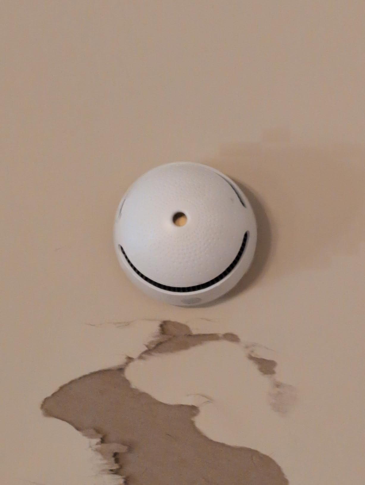 3-Pack Smart Smoke Detector, Wi-Fi Smoke Detector Fire Alarm with Smart Life App Notifications, 10-Year Replaceable Battery, Mini Size for Home, RV Customer Review 3-Pack Smart Smoke Detector, Wi-Fi Smoke Detector Fire Alarm with Smart Life App Notifications, 10-Year Replaceable Battery, Mini Size for Home, RV - Customer Photo 2