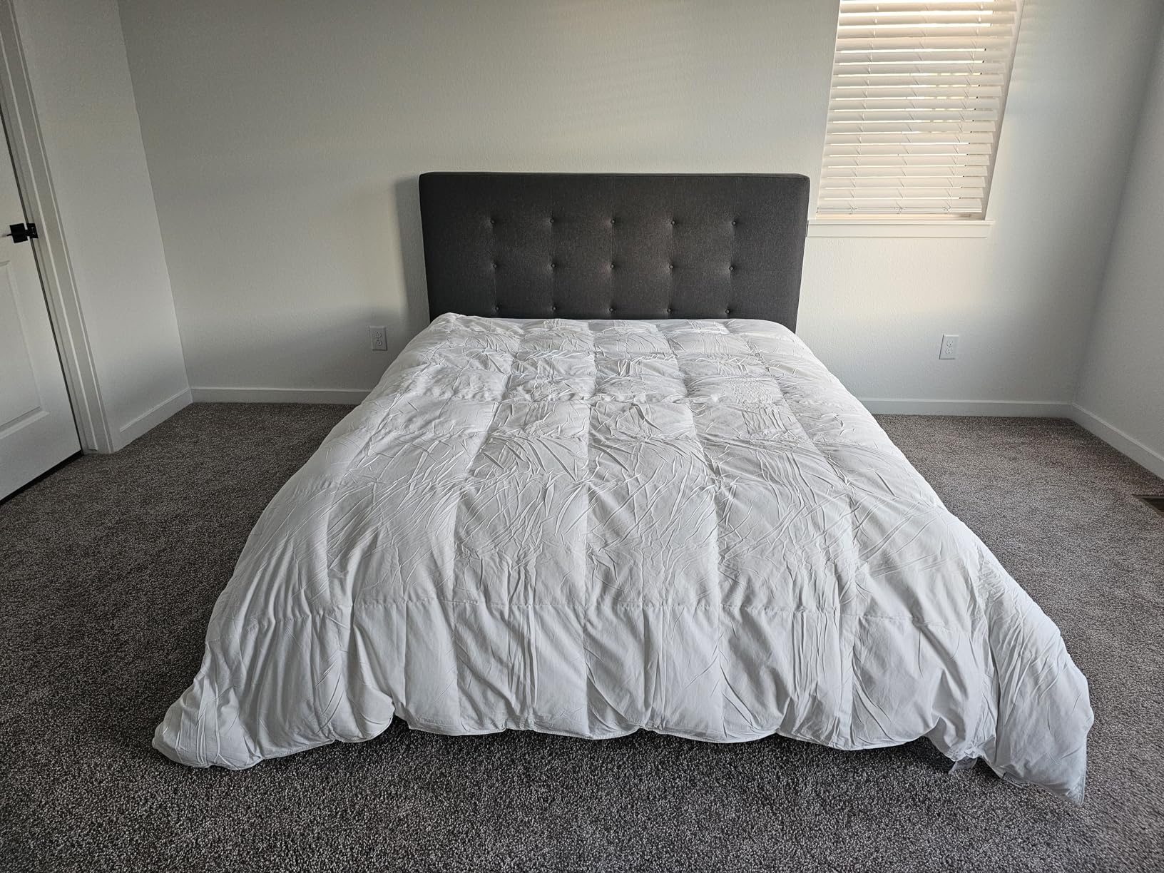 Three Geese Down Feathers Fiber Comforter Queen Size - 750 Fill Power All Season Down Duvet Insert, Ultra-Soft Hotel Collection Bedding Comforter, Baffle-Box Design - Noiseless - Medium Warmth. - Customer Photo 1