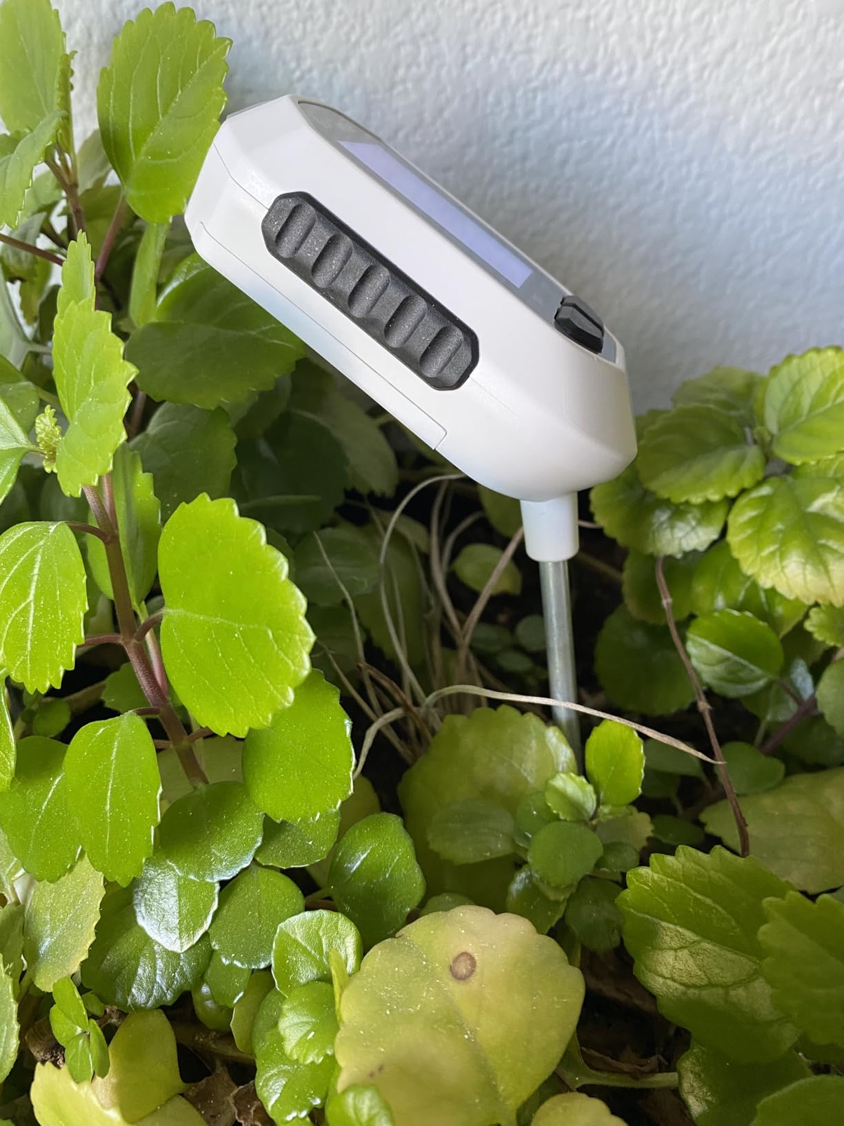 YAMRON 4-in-1 Soil Moisture Meter Digital Plant for Indoor ＆ Outdoor Plants customer photo 2
