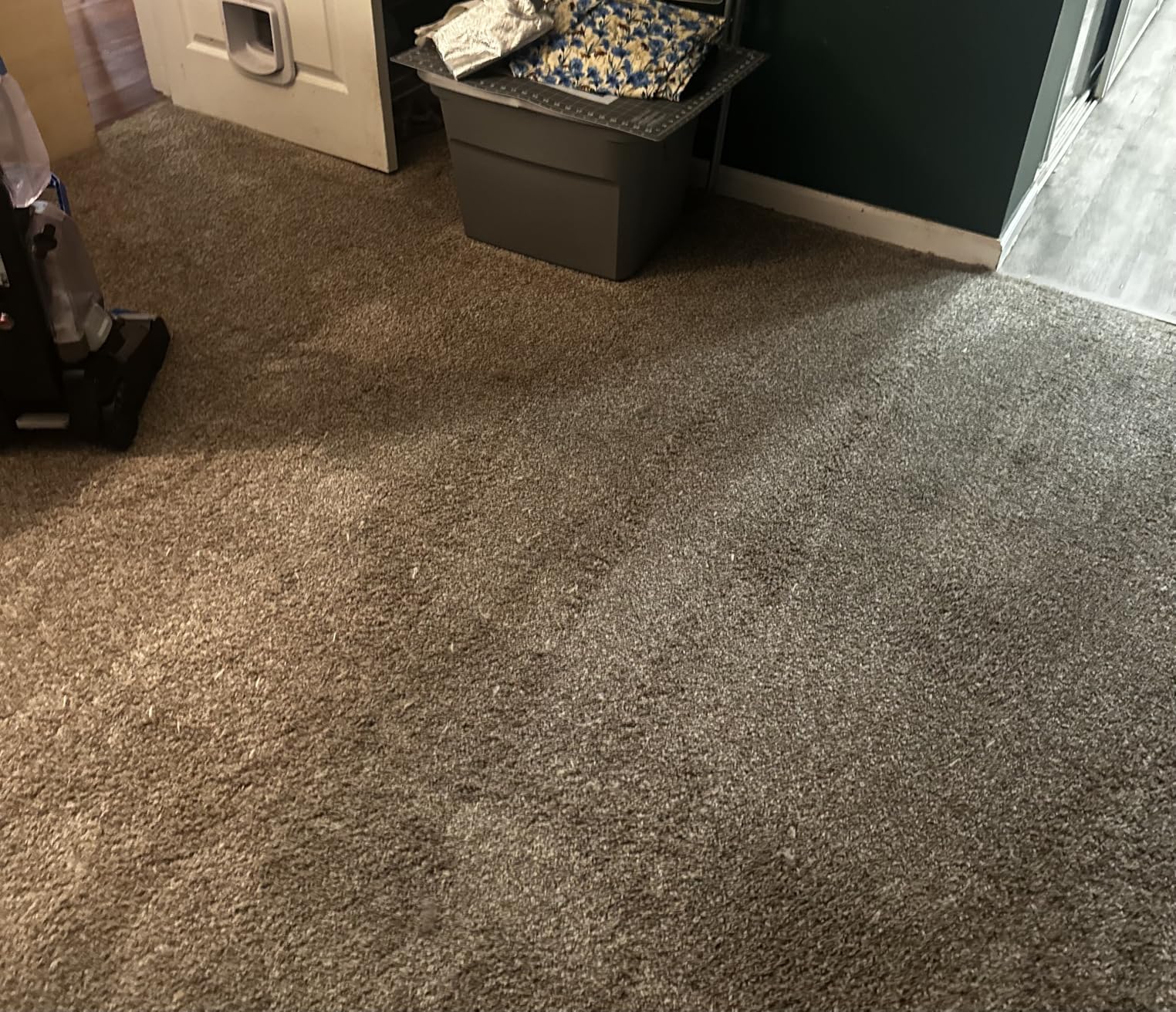 BISSELL TurboClean, Upright Carpet Cleaner, Pro Max Clean & Protect + Oxy Urine Eliminator Formula Included, 3952 - Customer Photo 1